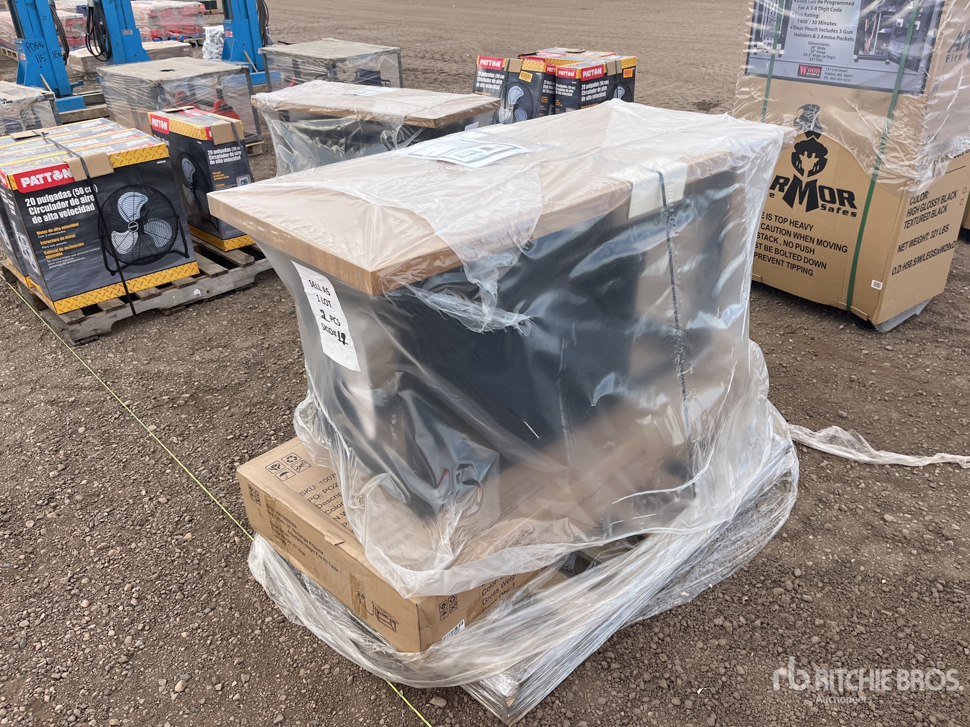 General Appearance with Picture, Left Rear Corner