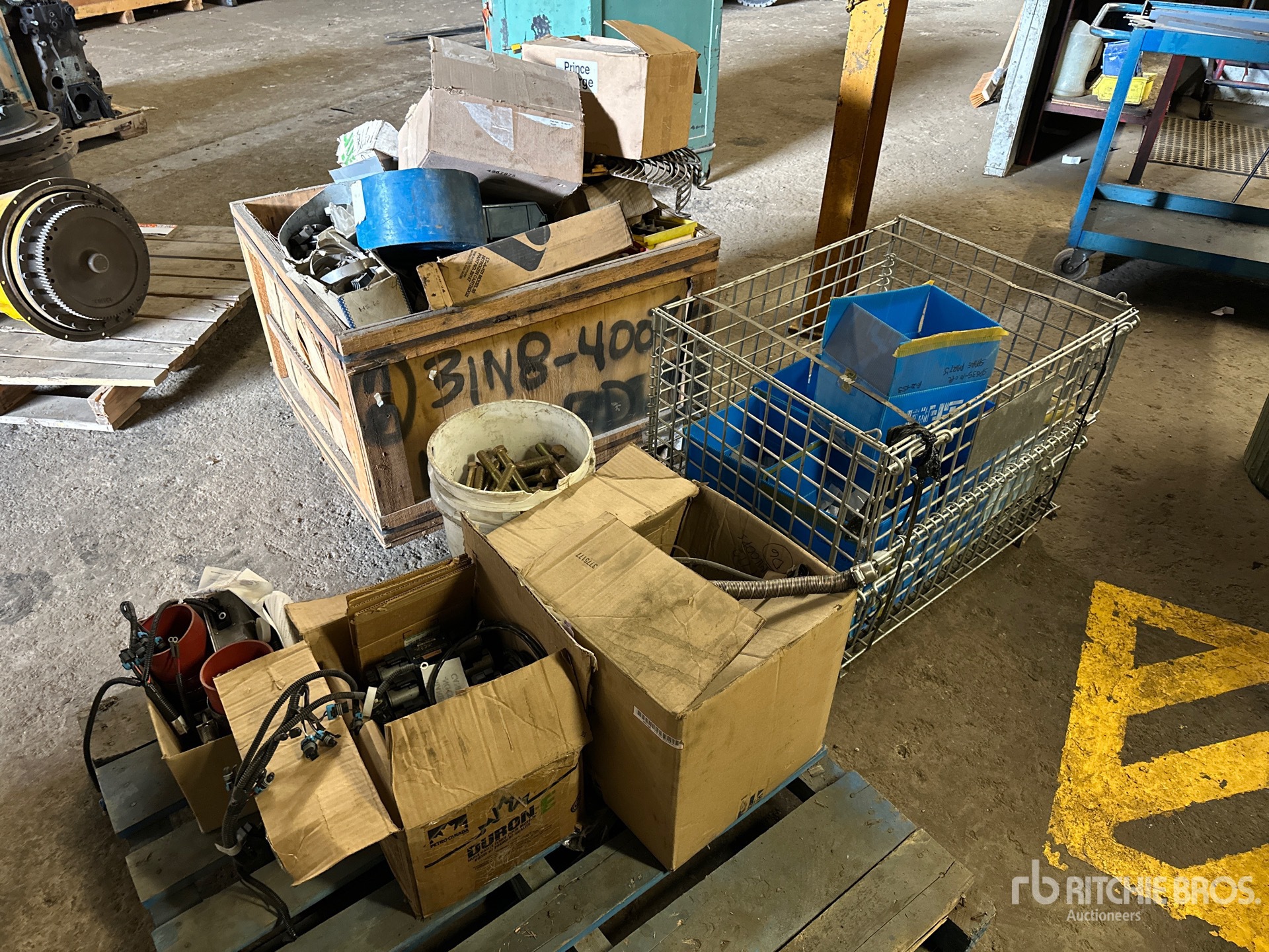 General Appearance with 