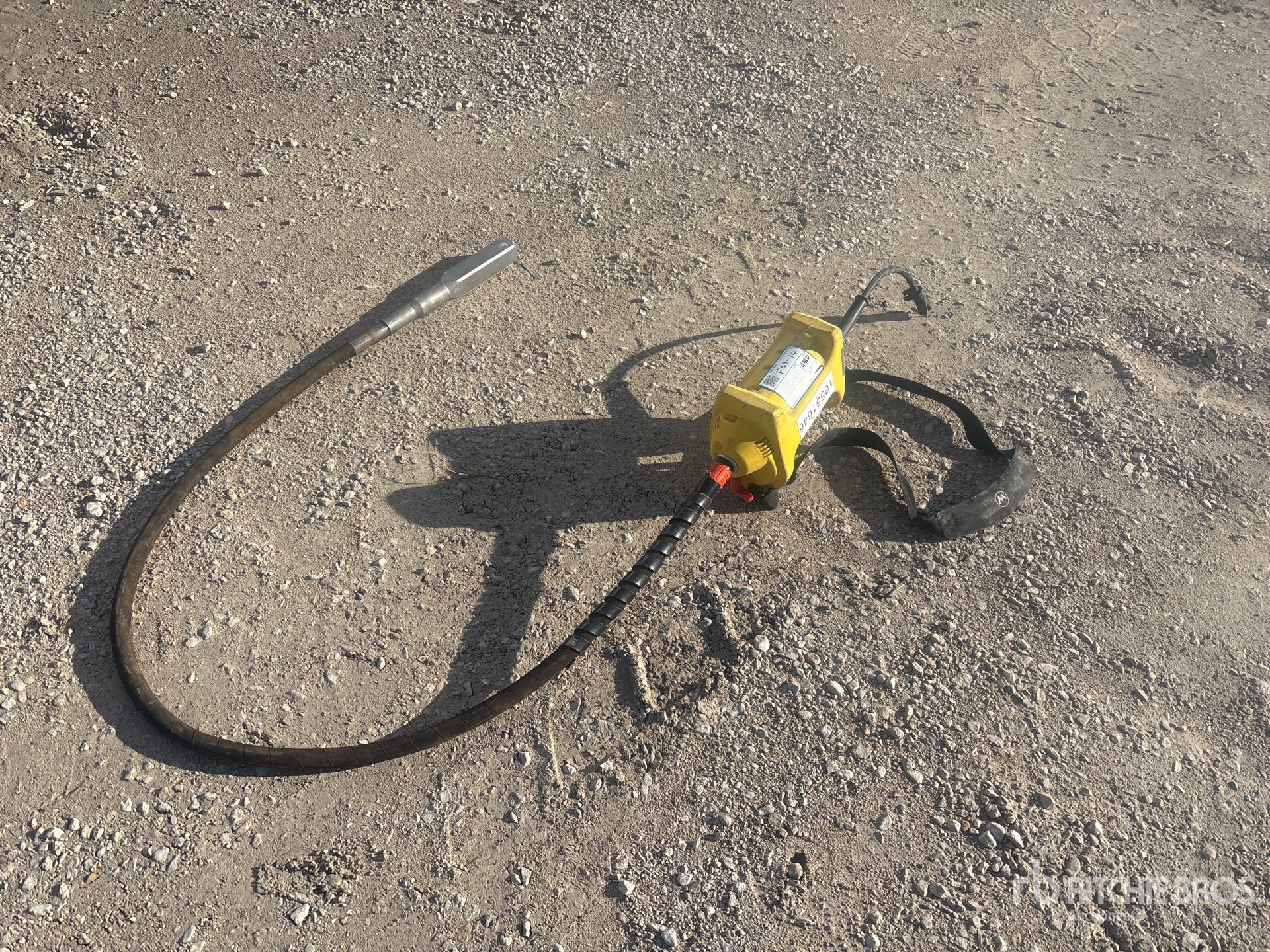 General Appearance with Foto, angolo anteriore sinistro