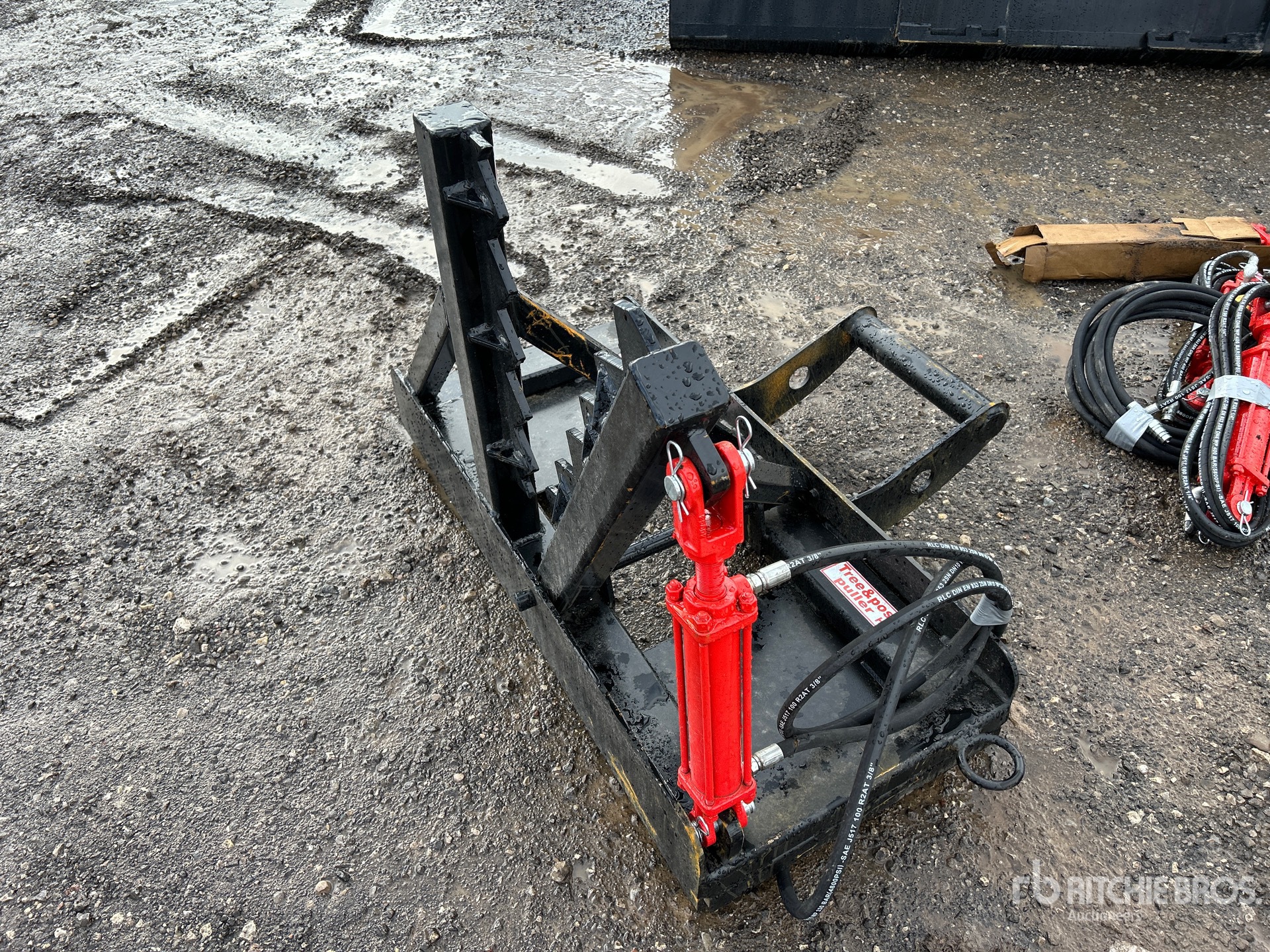 General Appearance with Imagen: esquina trasera derecha