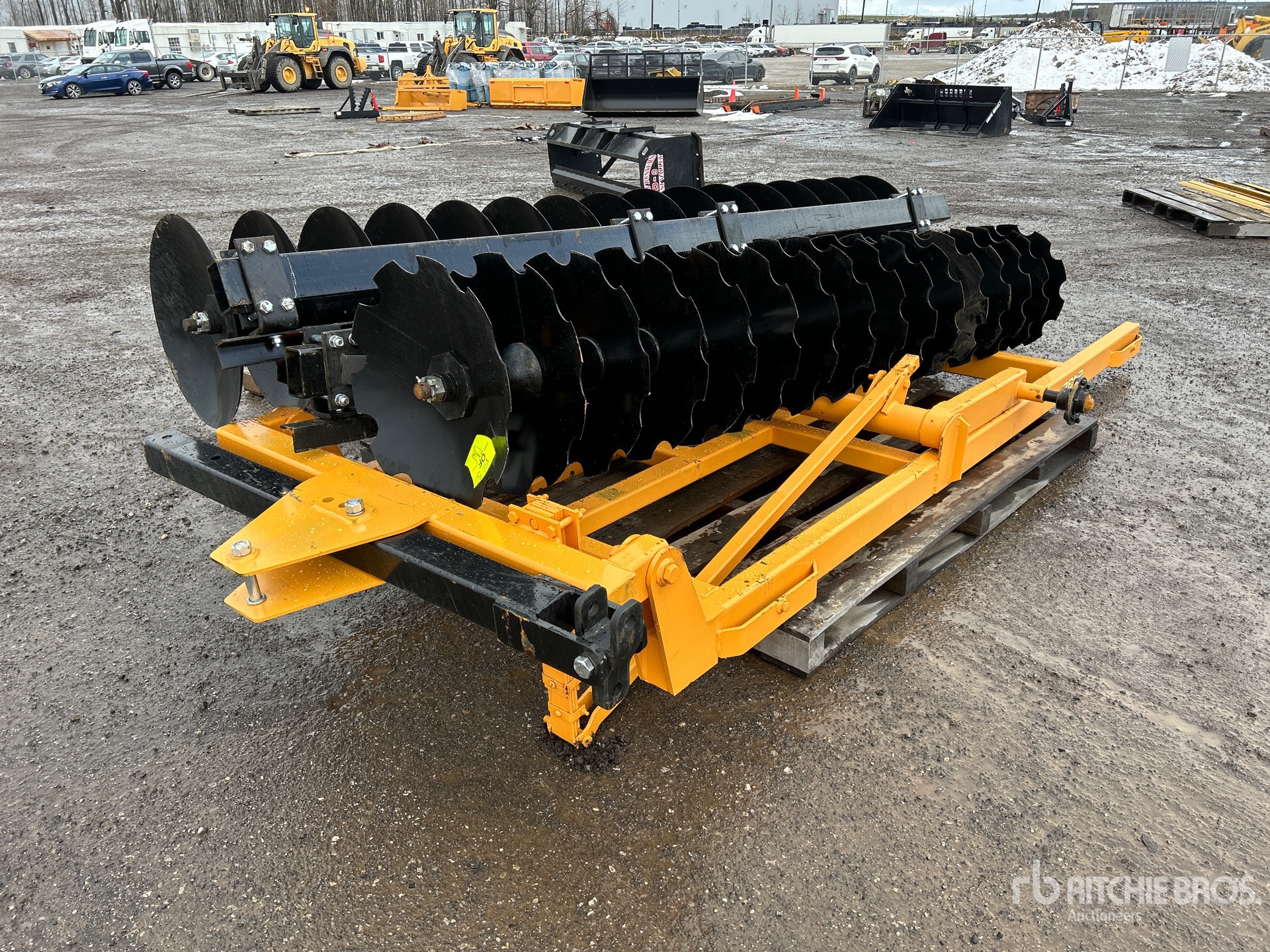 General Appearance with Zdjęcie, lewy dolny róg