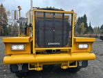 General Appearance with Paint