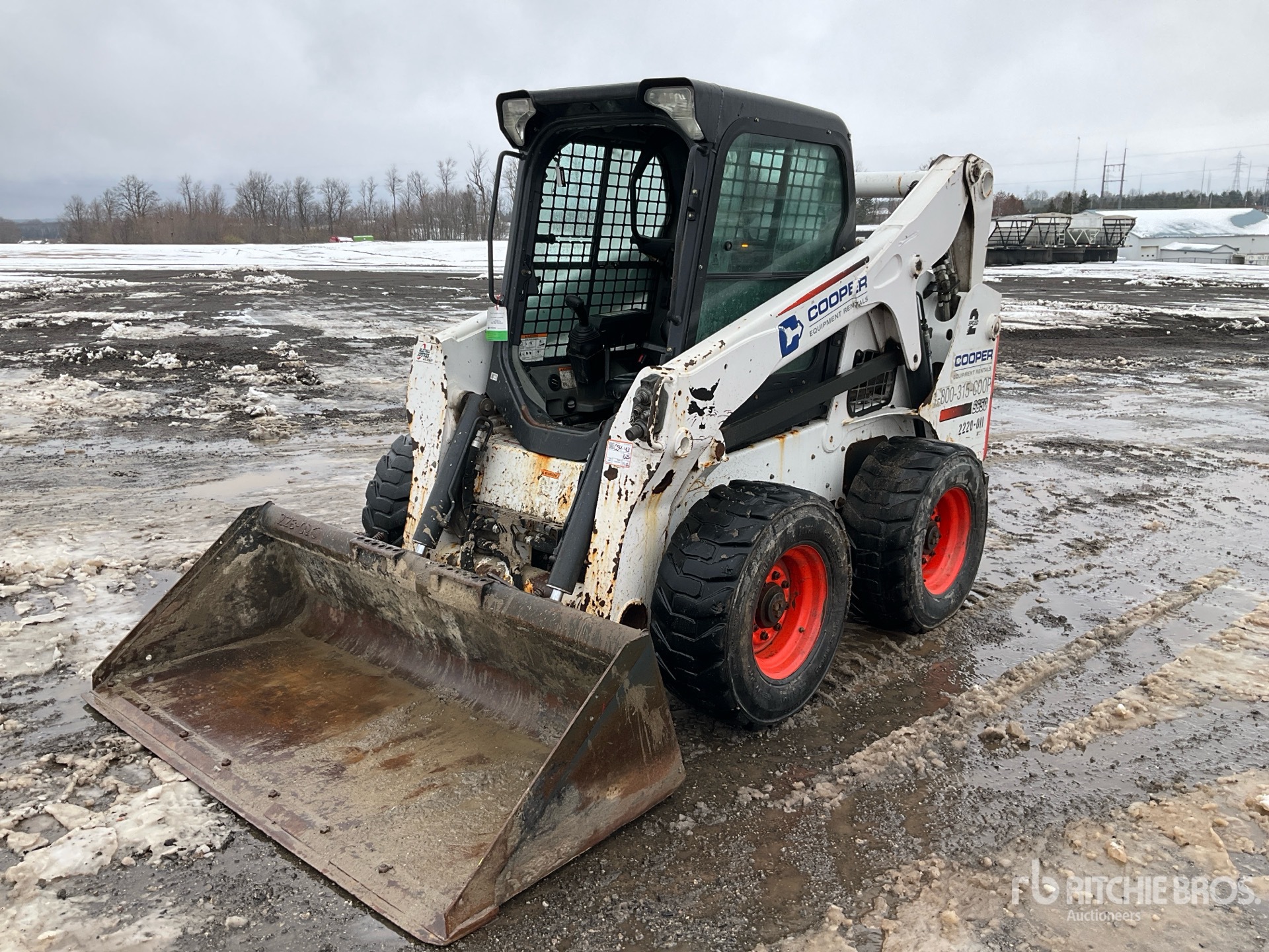 General Appearance with Spin