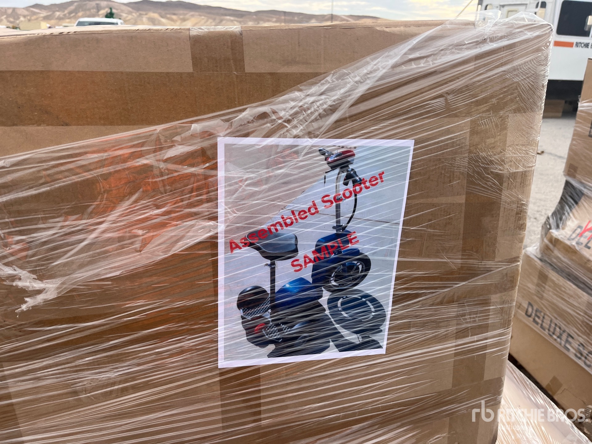 General Appearance with 