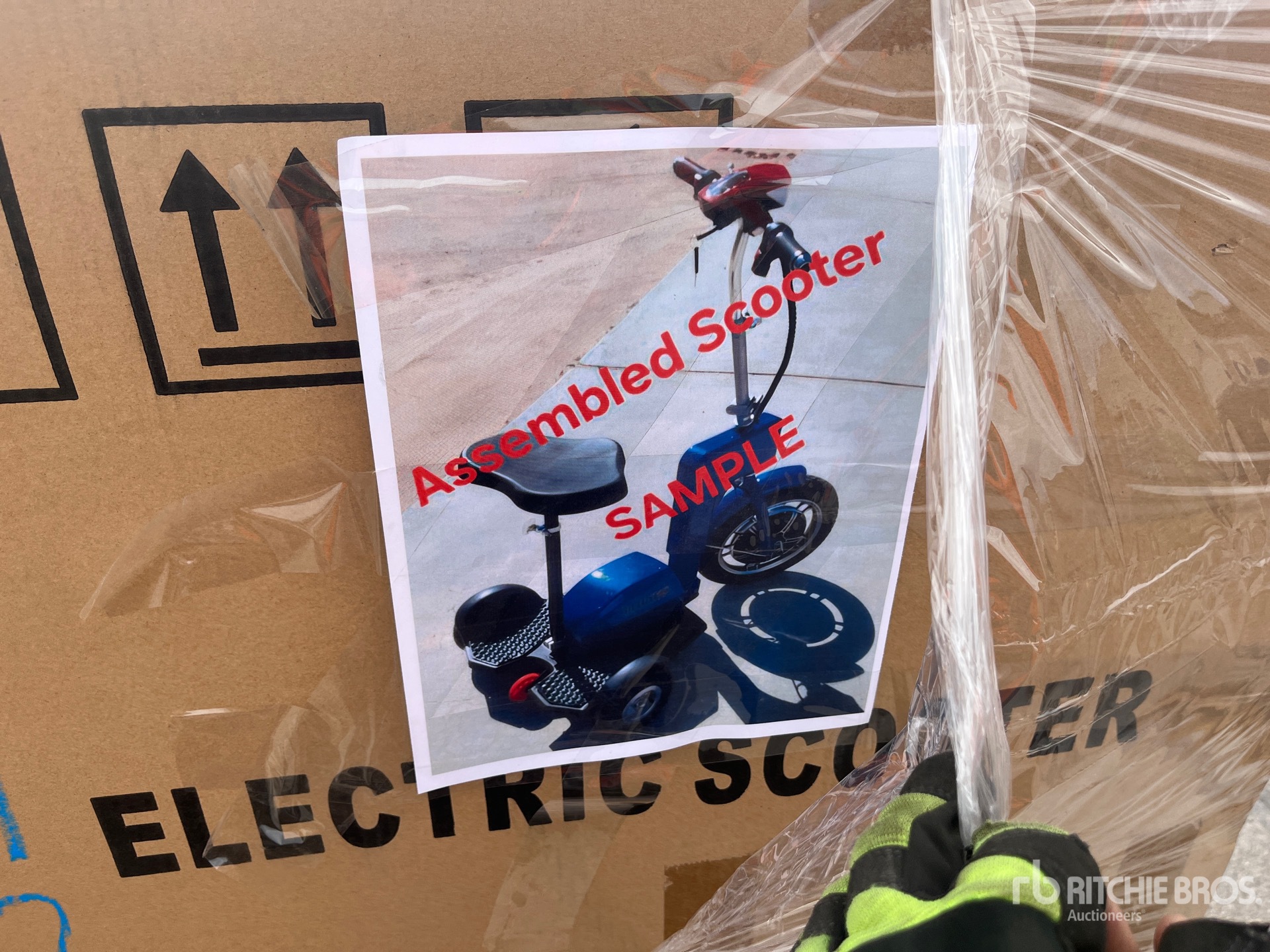 General Appearance with 