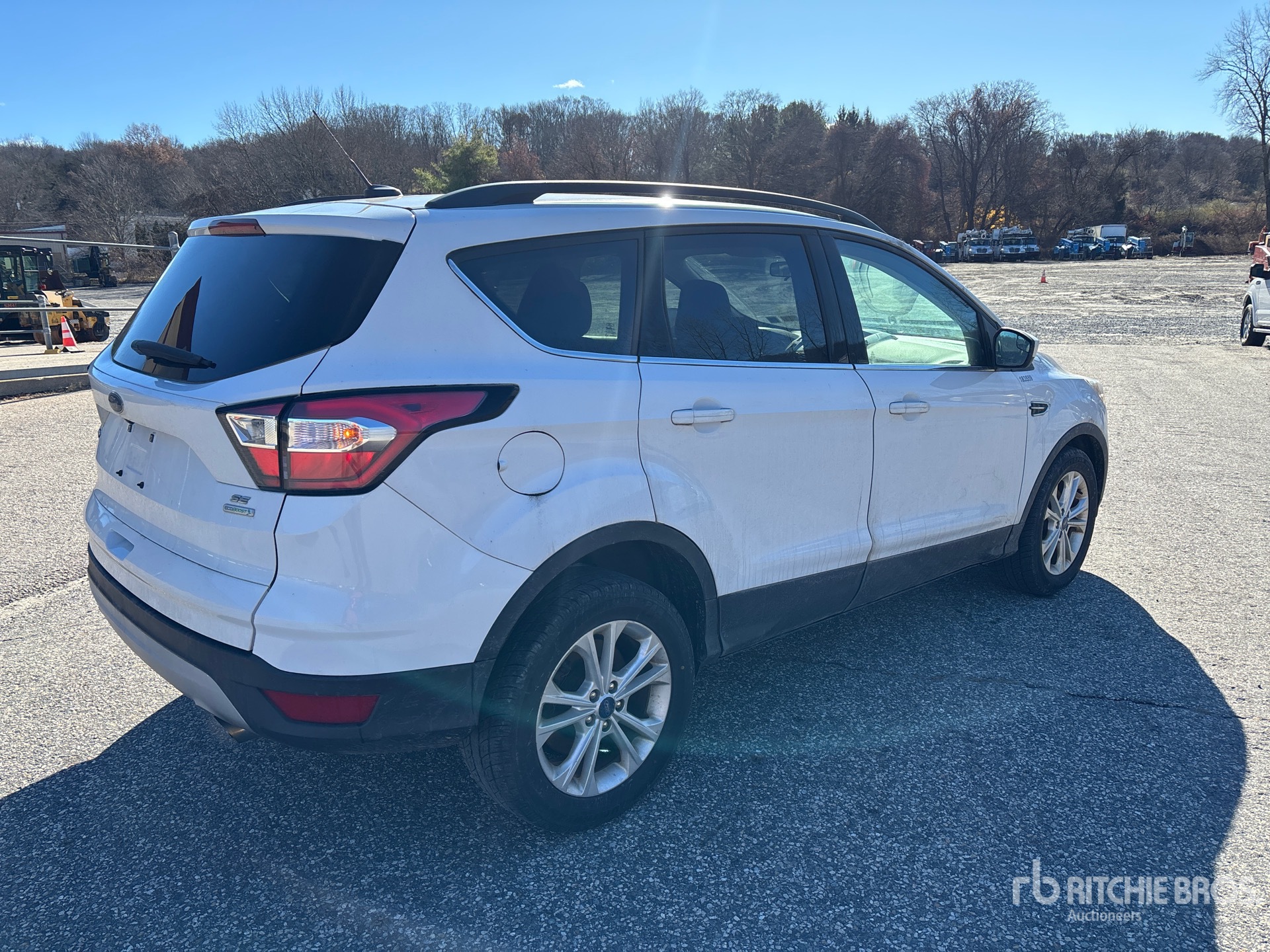 General Appearance with Zdjęcie, prawy dolny róg