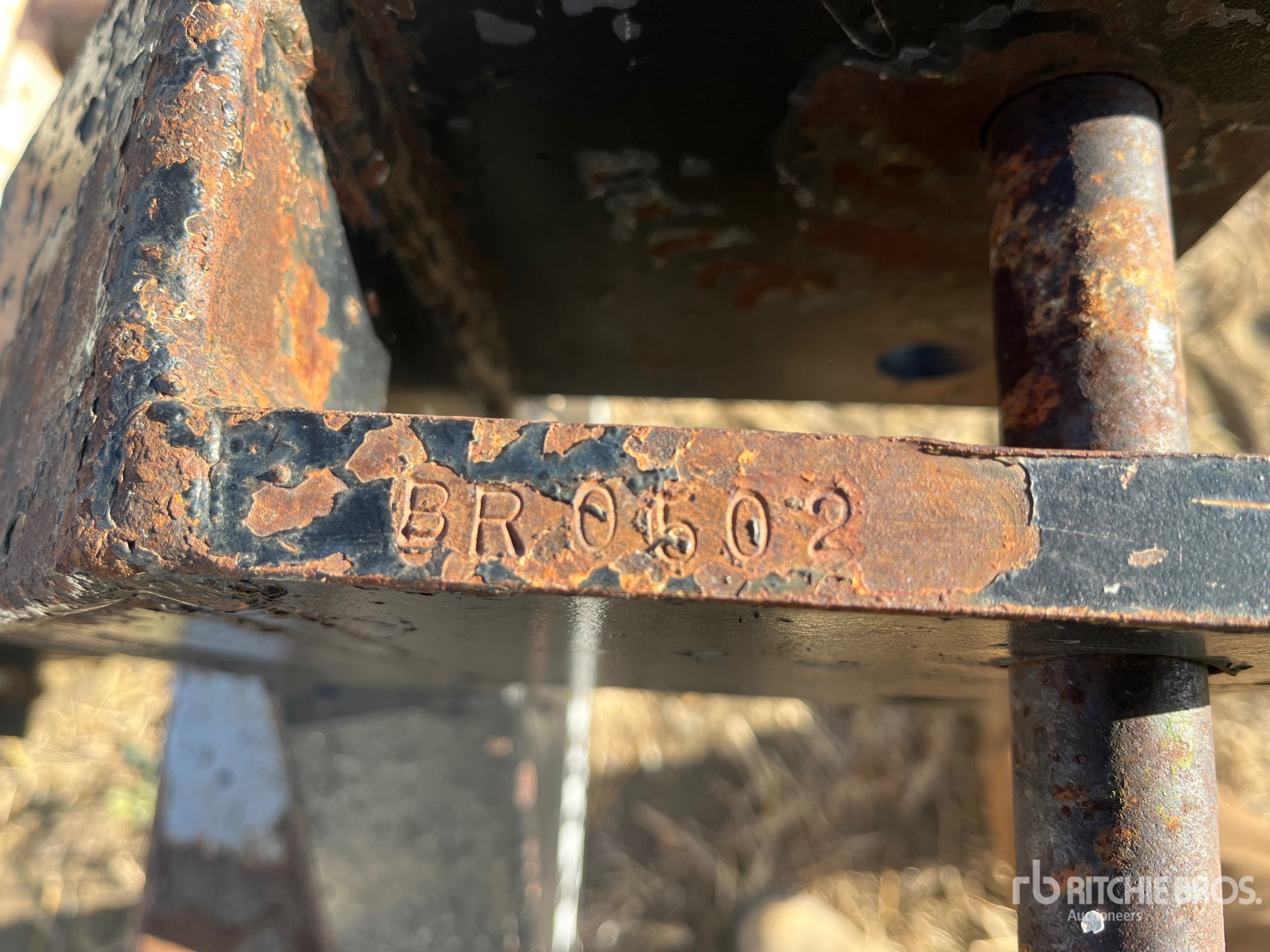 General Appearance with Numero seriale/numero d’identificazione del veicolo (VIN)