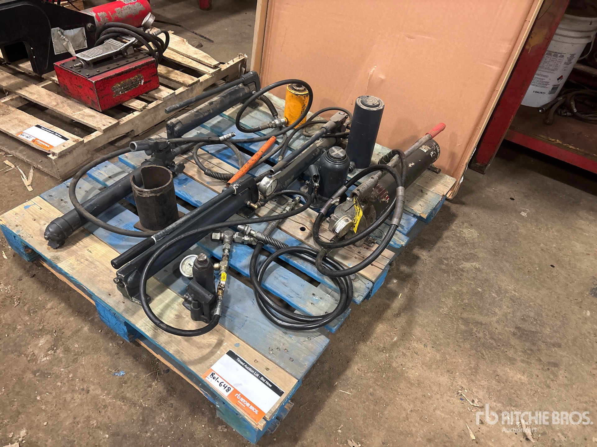 General Appearance with Bild, Ecke vorne links