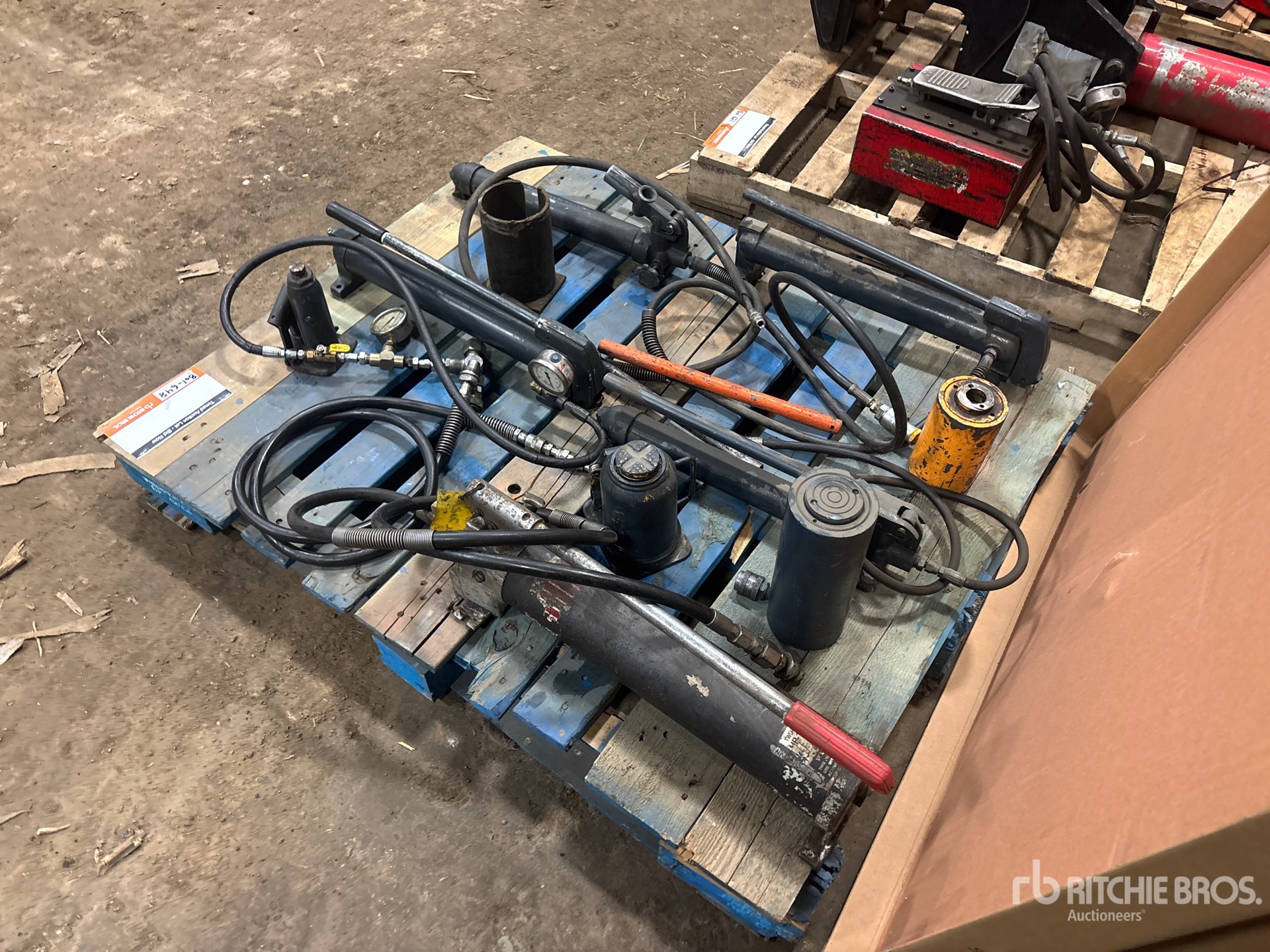 General Appearance with Bild, Ecke hinten links