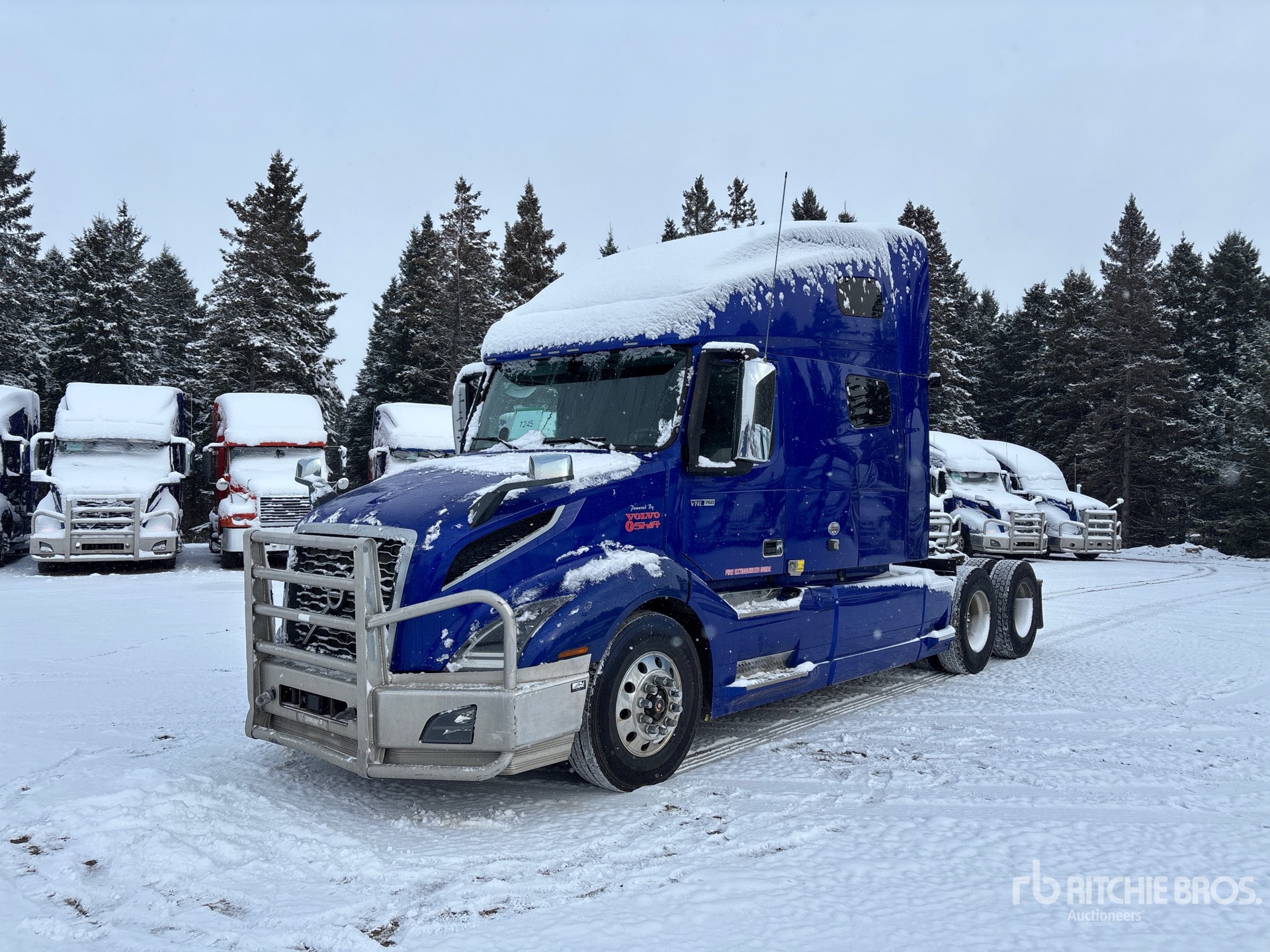 General Appearance with Spin