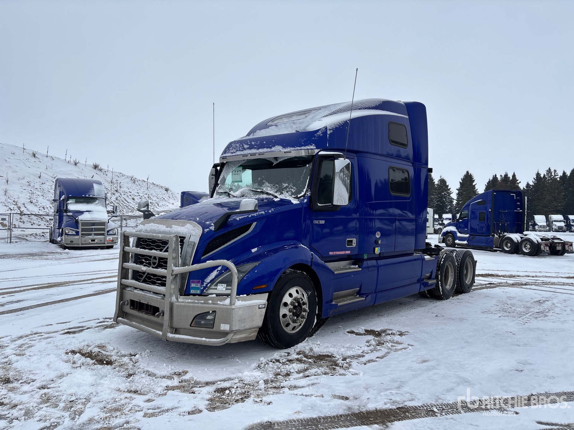 General Appearance with Spin