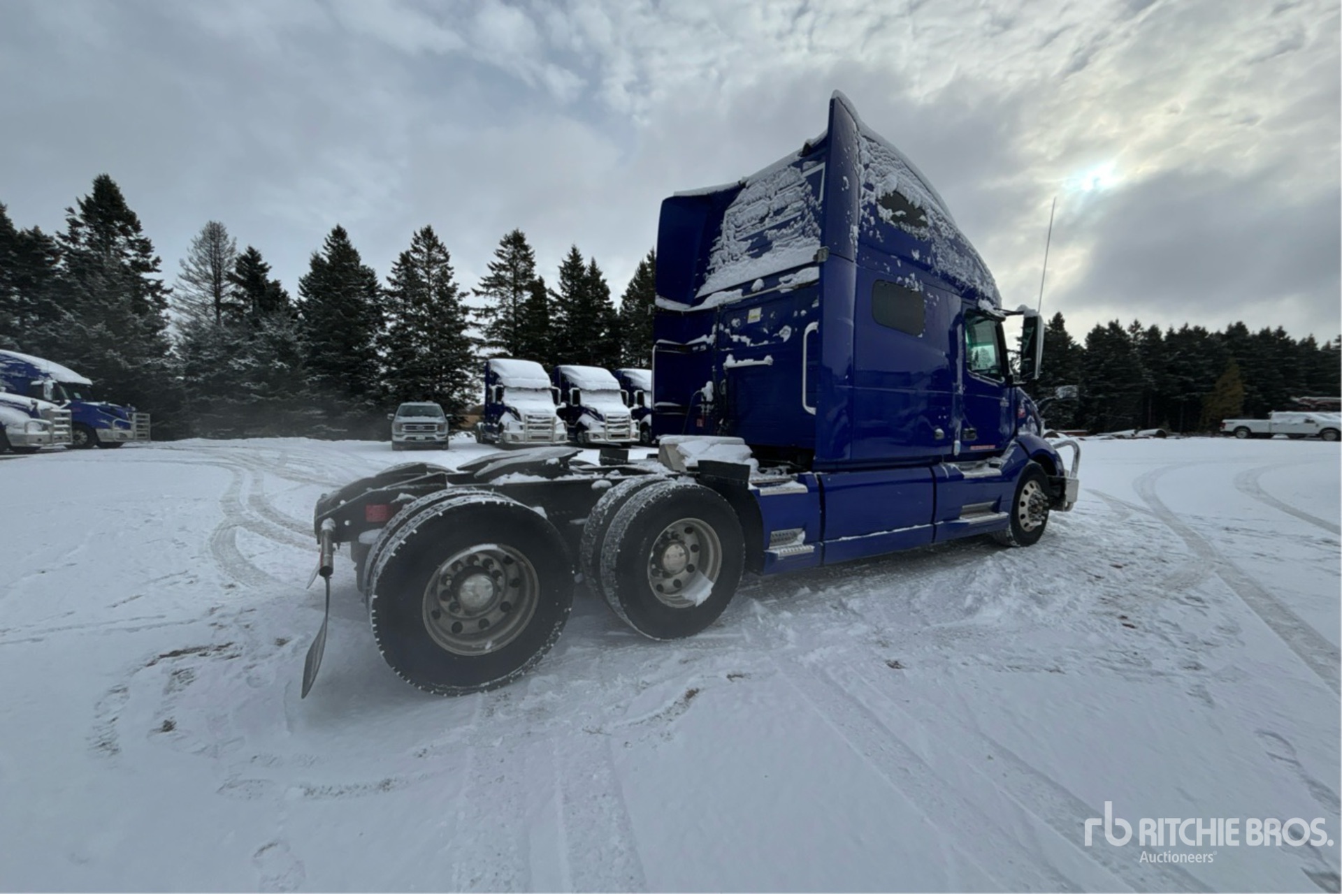 General Appearance with Zdjęcie, prawy dolny róg