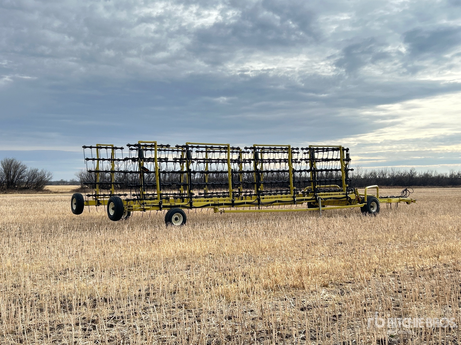 General Appearance with Foto, angolo anteriore sinistro