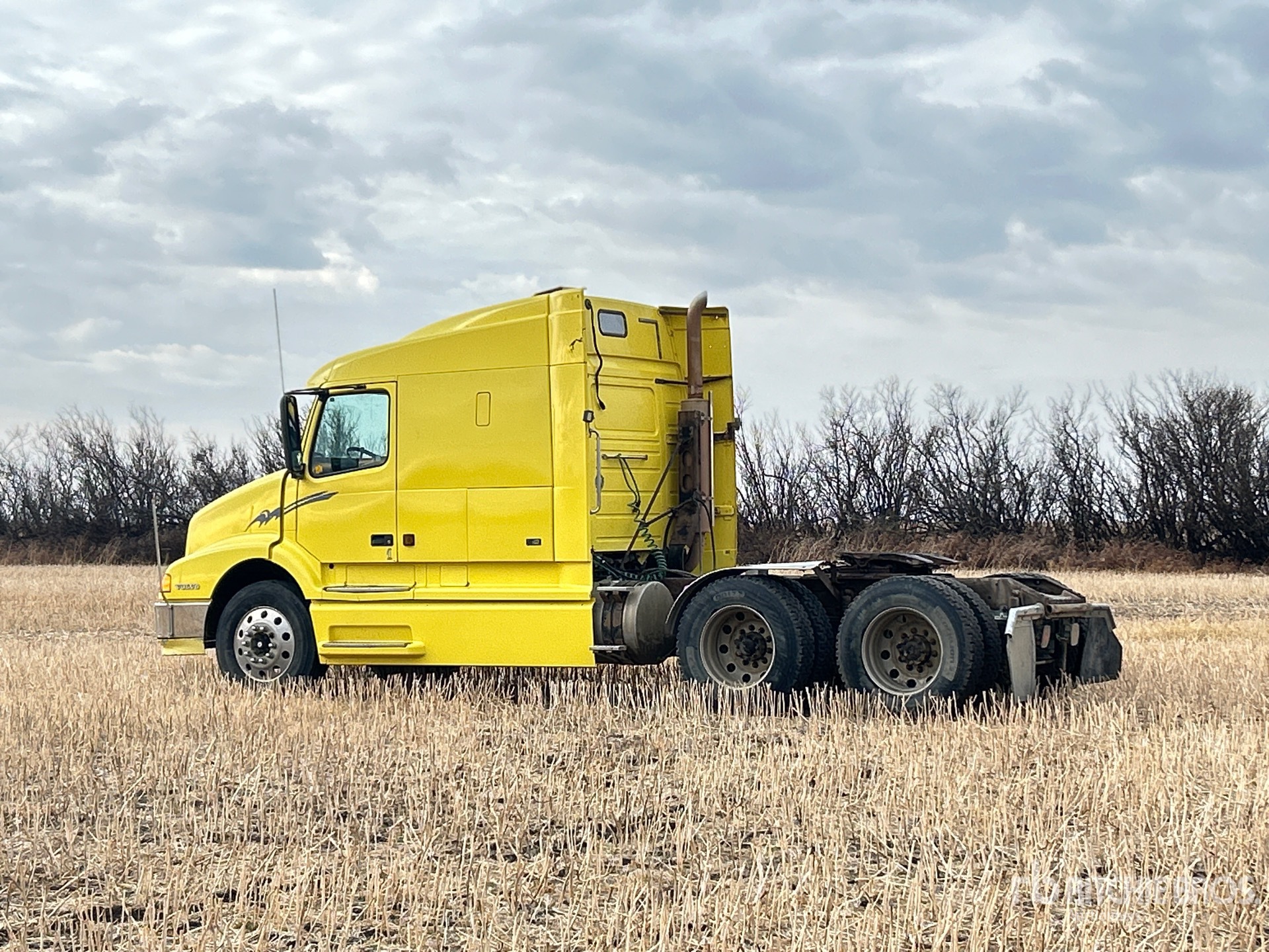 General Appearance with Zdjęcie, lewy dolny róg