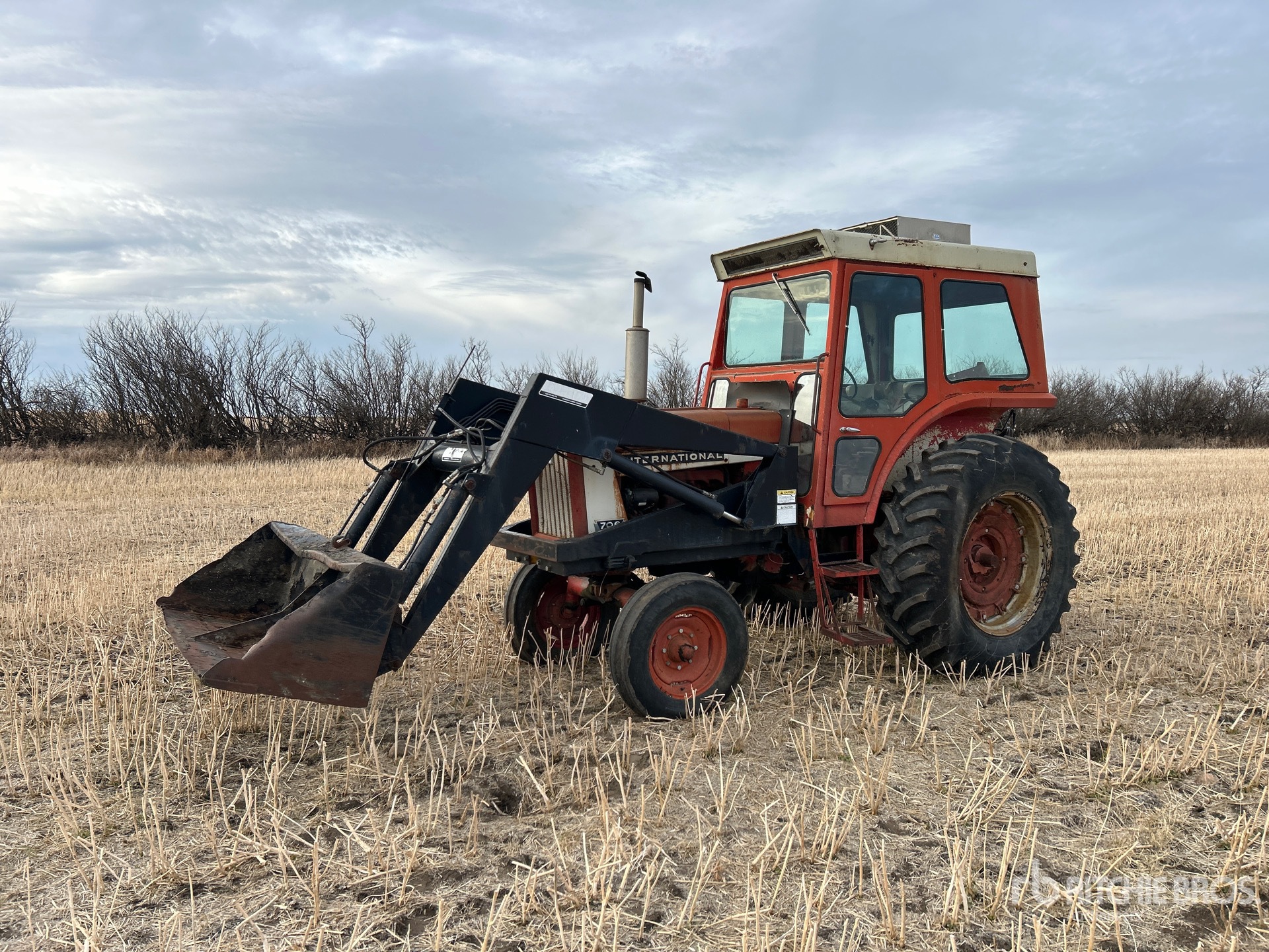 General Appearance with Spin