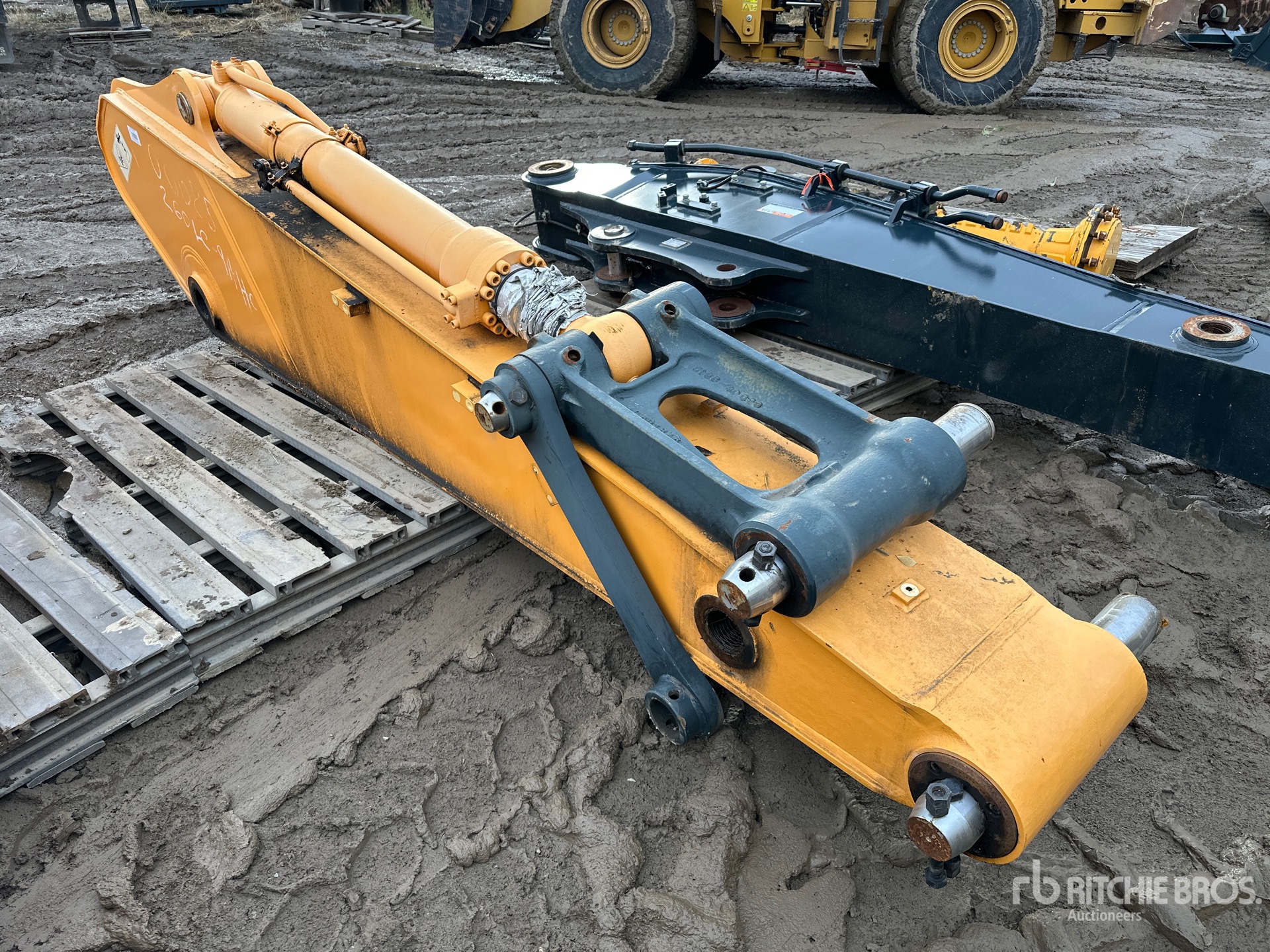 General Appearance with Bild, Ecke vorne links