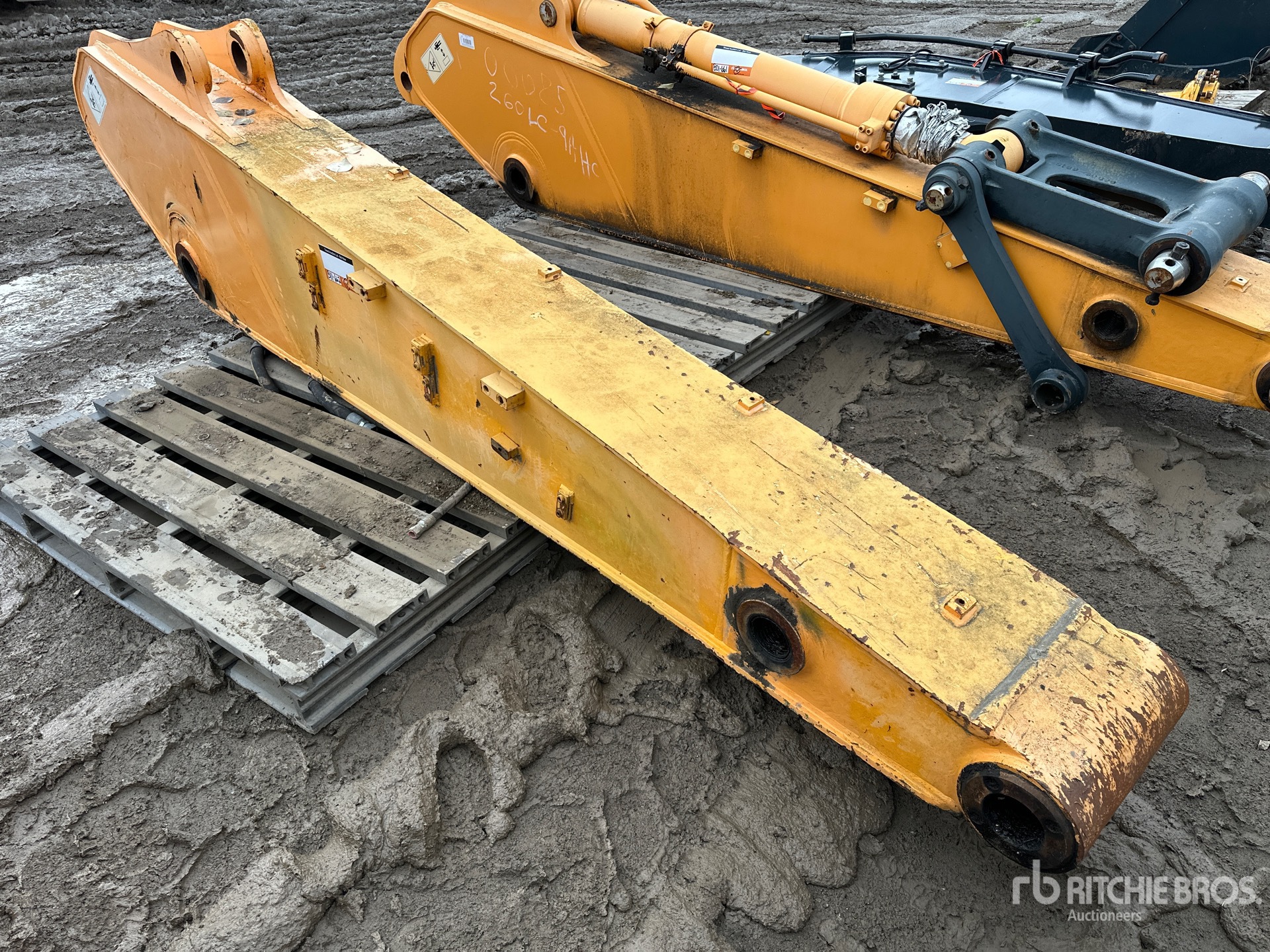 General Appearance with Bild, Ecke vorne links