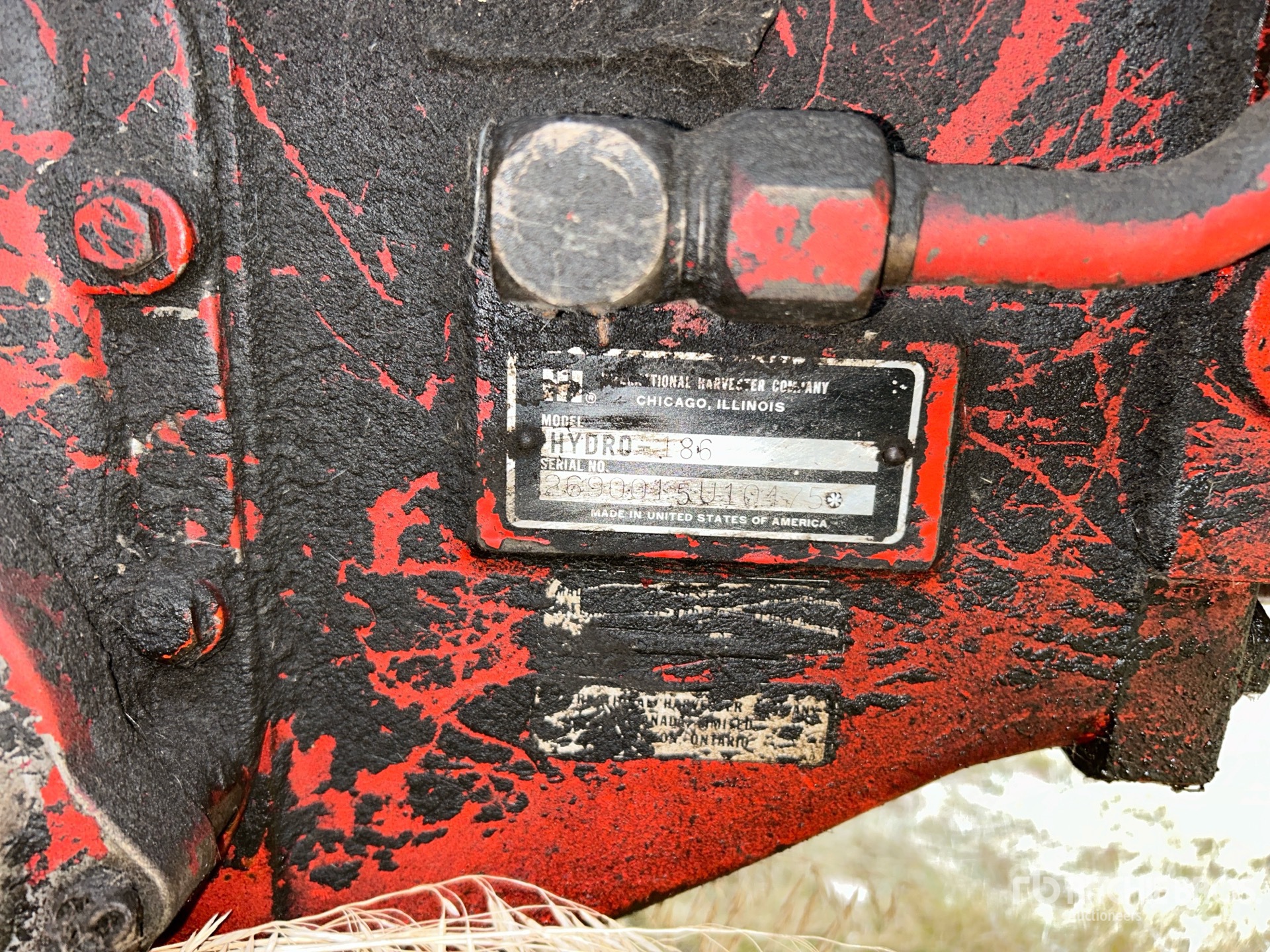 General Appearance with Numero seriale/numero d’identificazione del veicolo (VIN)