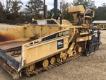General Appearance with Paint