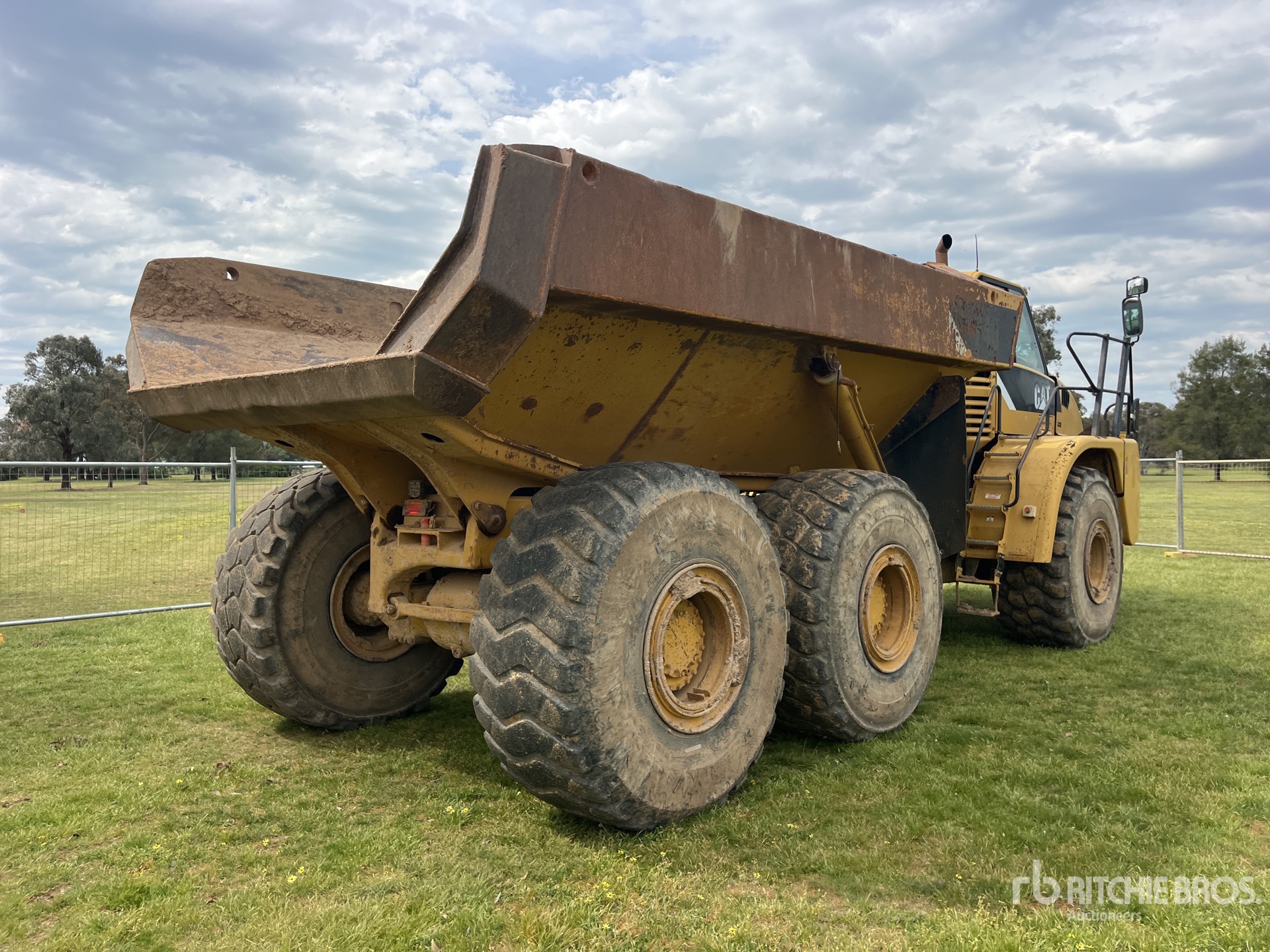 General Appearance with 