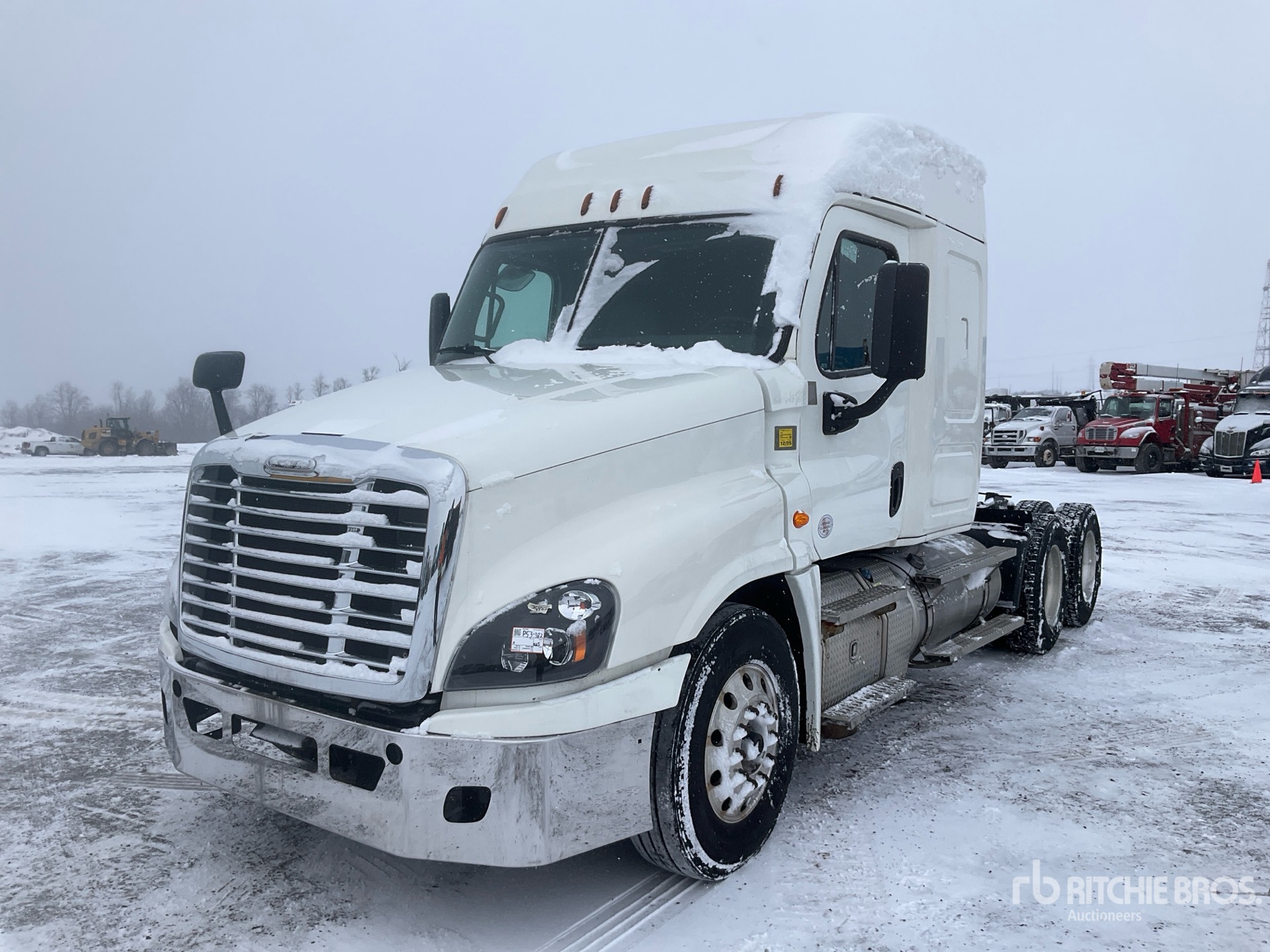 General Appearance with Spin