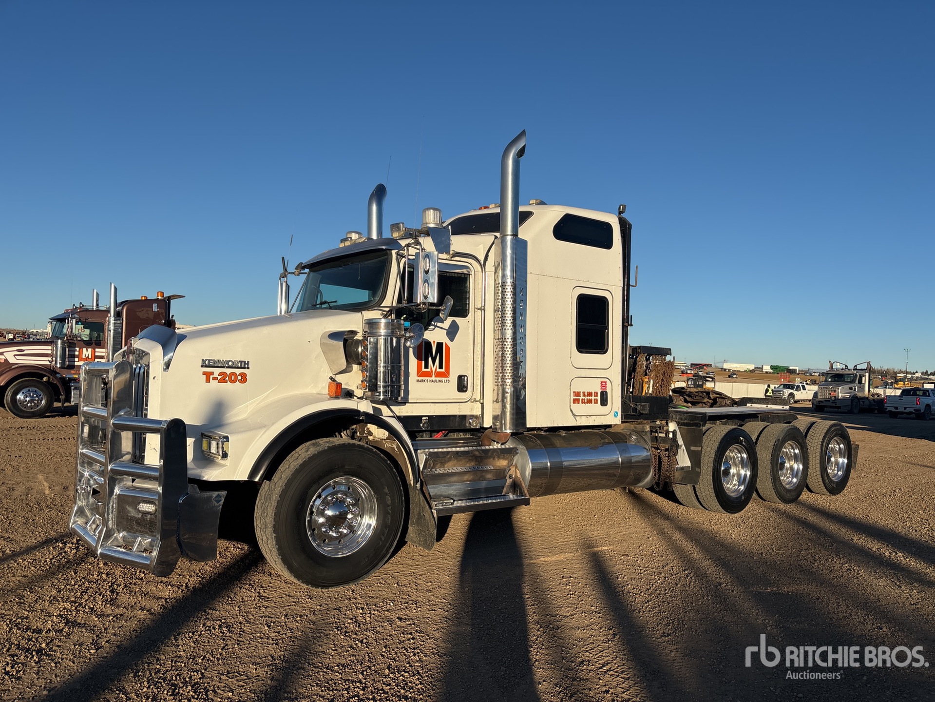 General Appearance with Spin