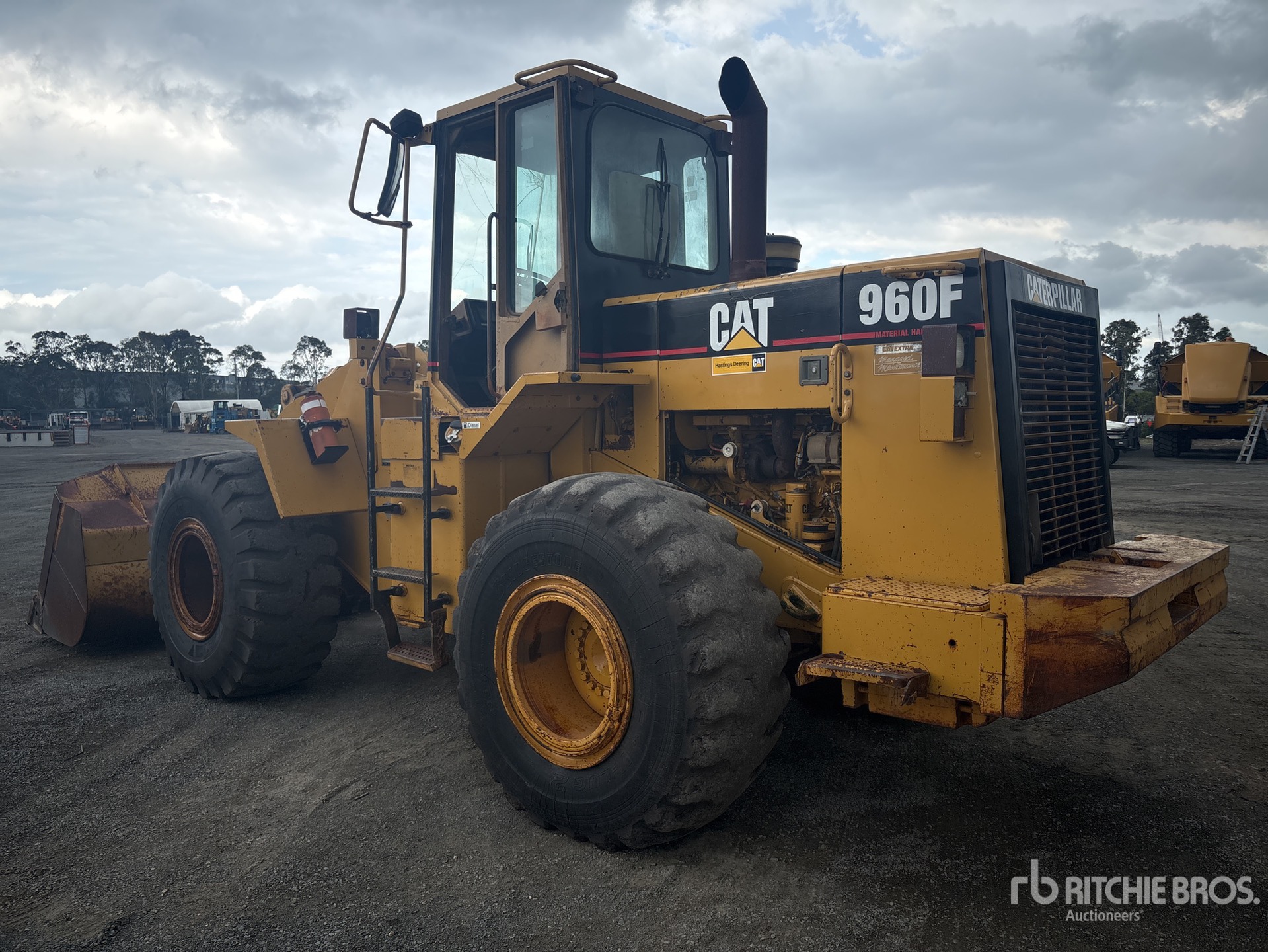 General Appearance with Zdjęcie, lewy dolny róg