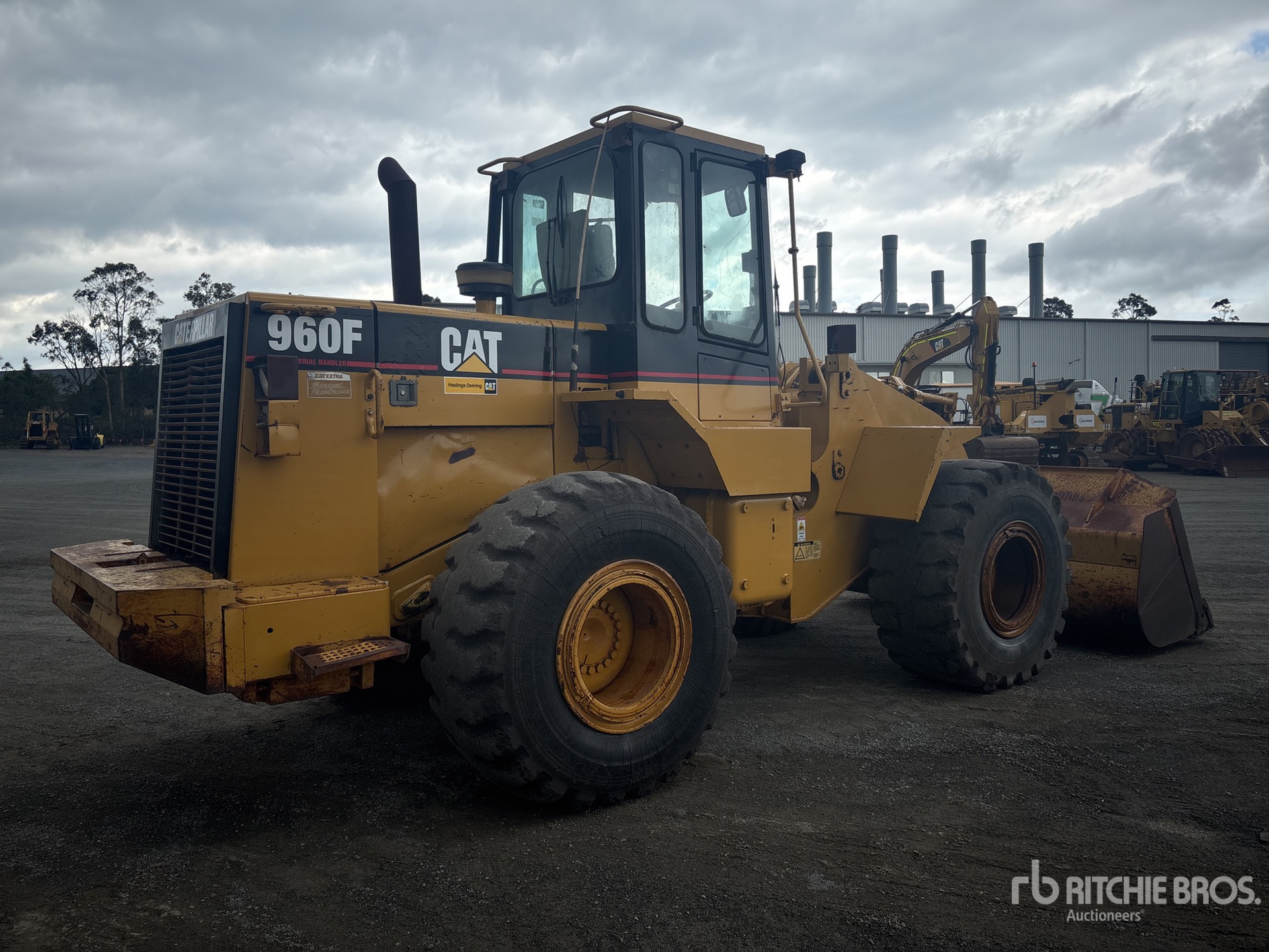 General Appearance with Zdjęcie, prawy dolny róg