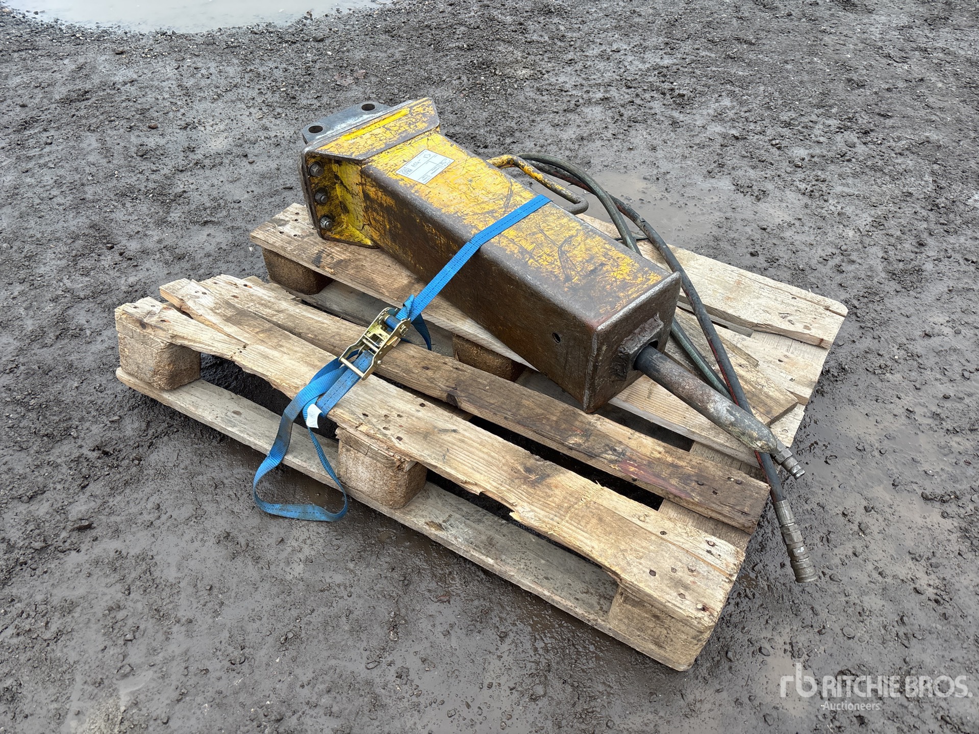 General Appearance with Image, coin avant droit