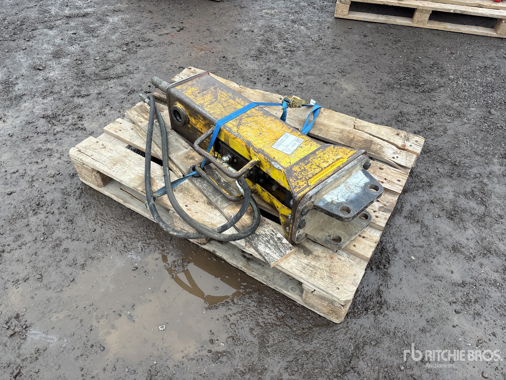 General Appearance with Image, coin arrière gauche