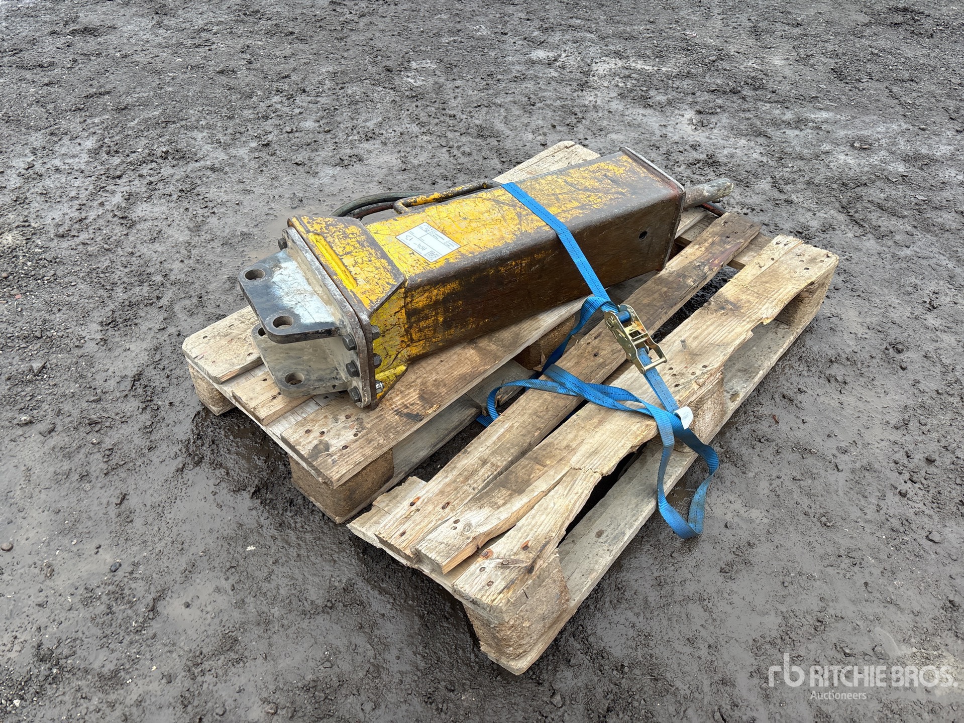 General Appearance with Image, coin arrière droit