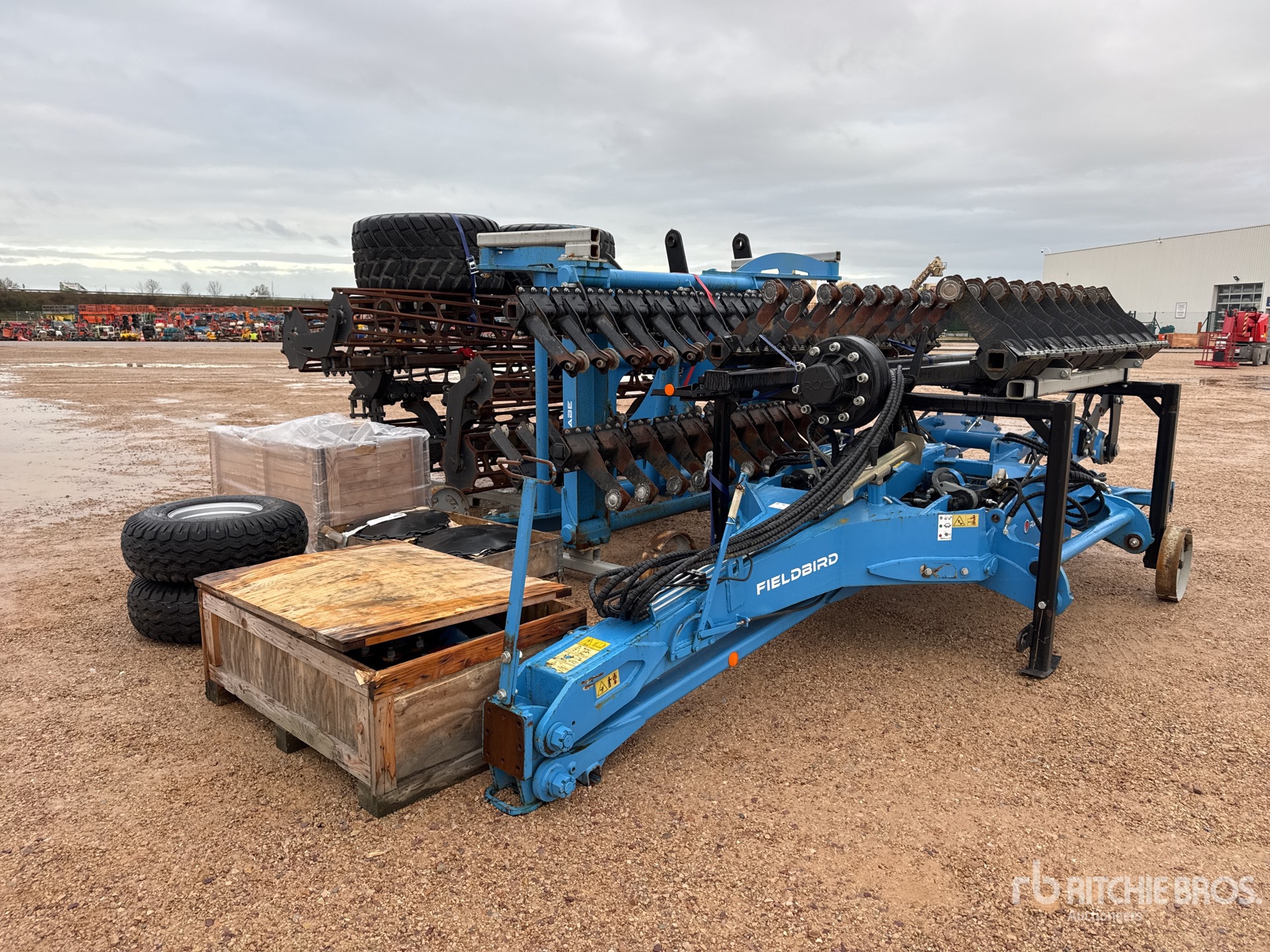 General Appearance with 