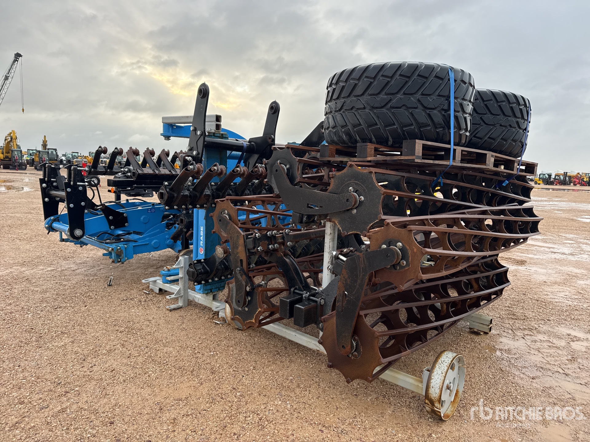 General Appearance with 