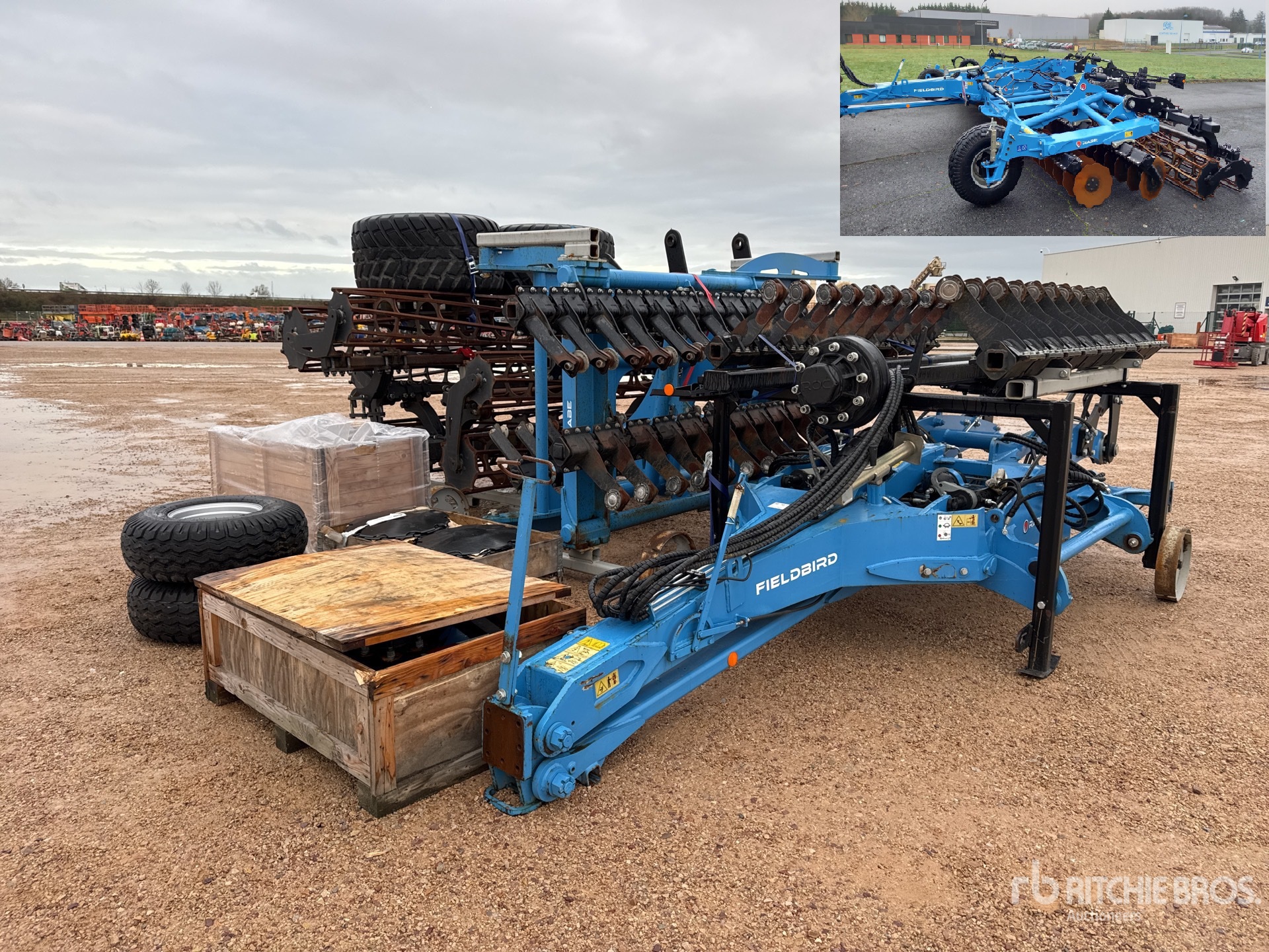 General Appearance with 