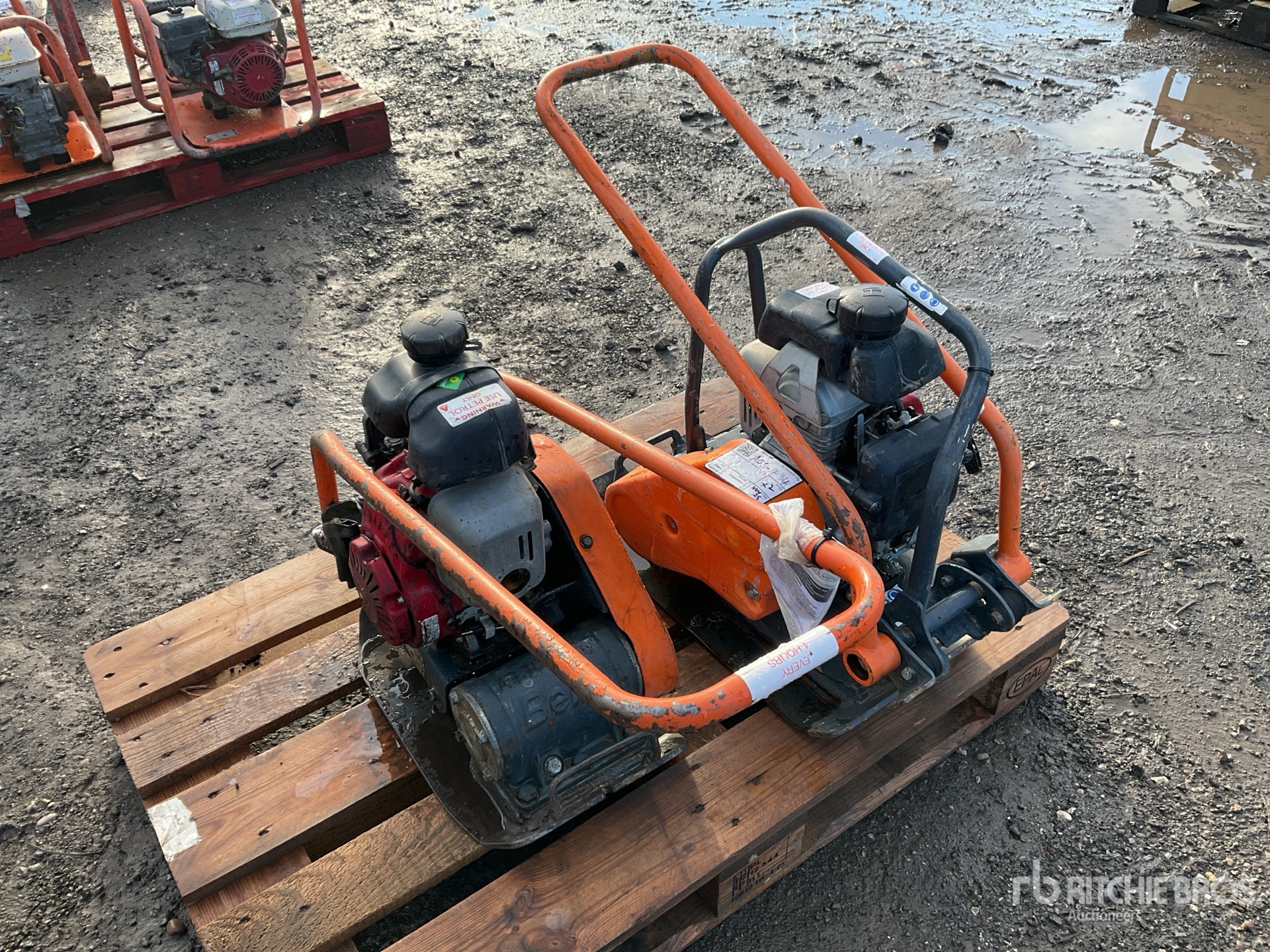 General Appearance with Bild, Ecke vorne links