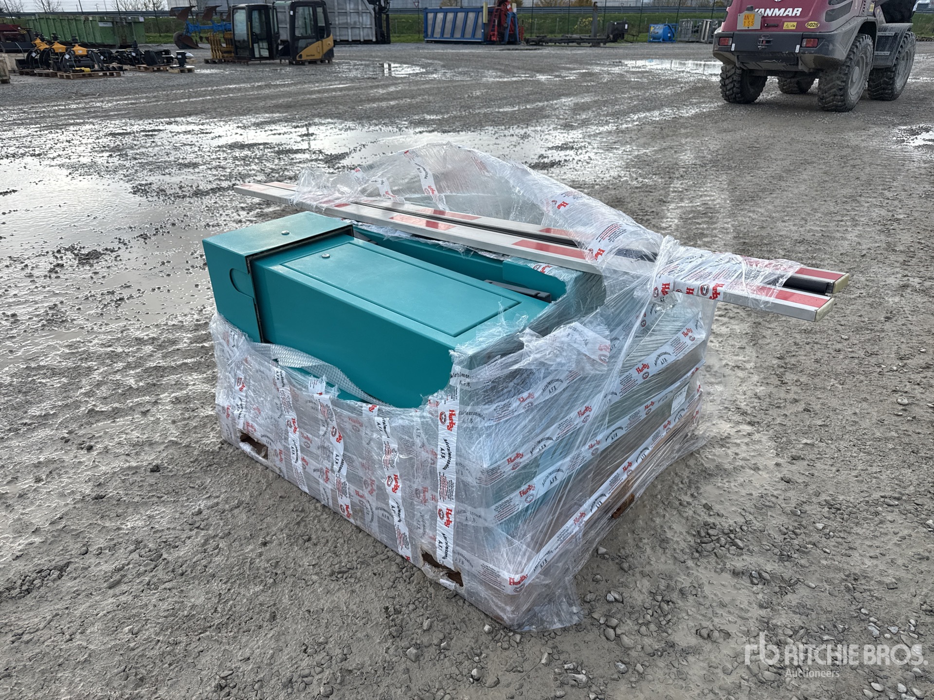 General Appearance with 