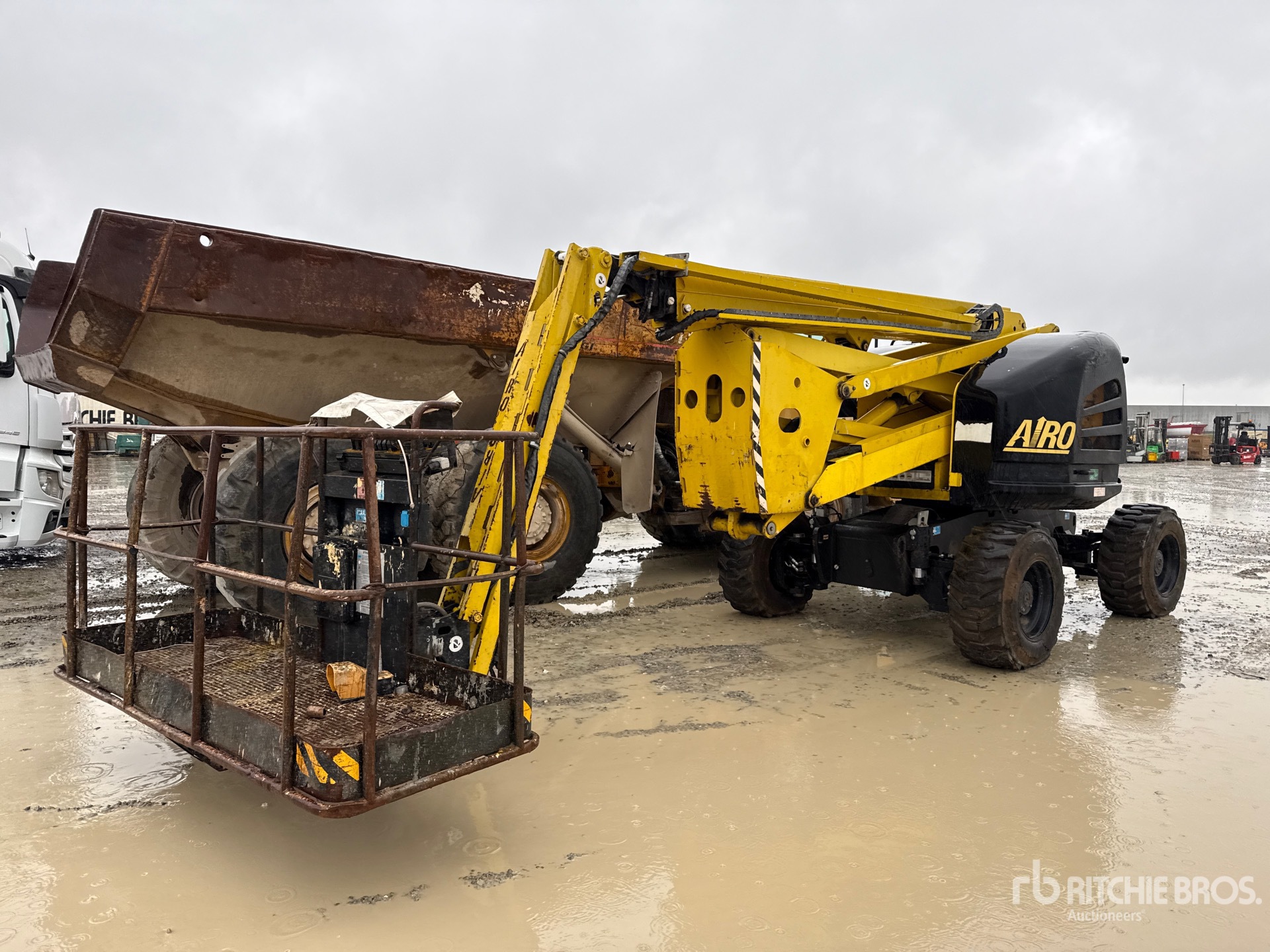 General Appearance with