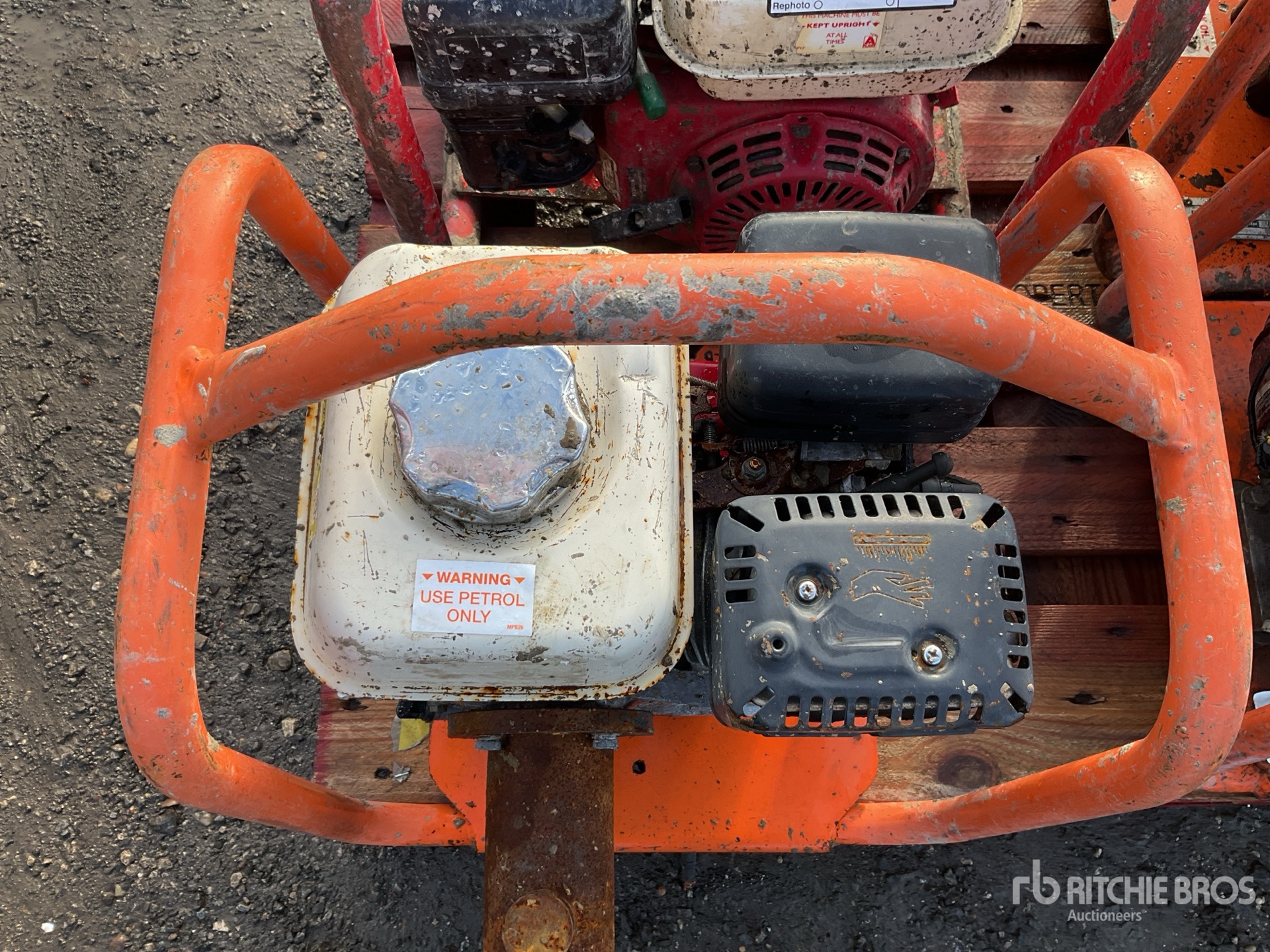 General Appearance with 