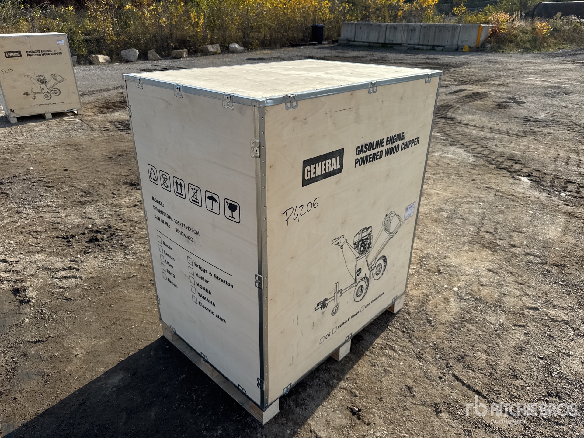 General Appearance with 