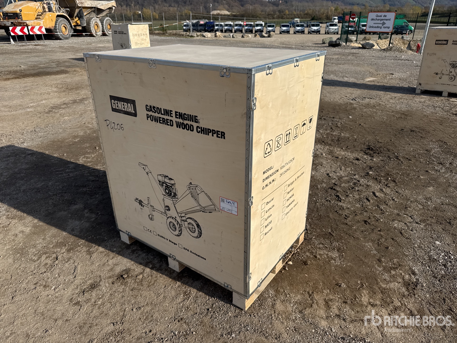 General Appearance with 