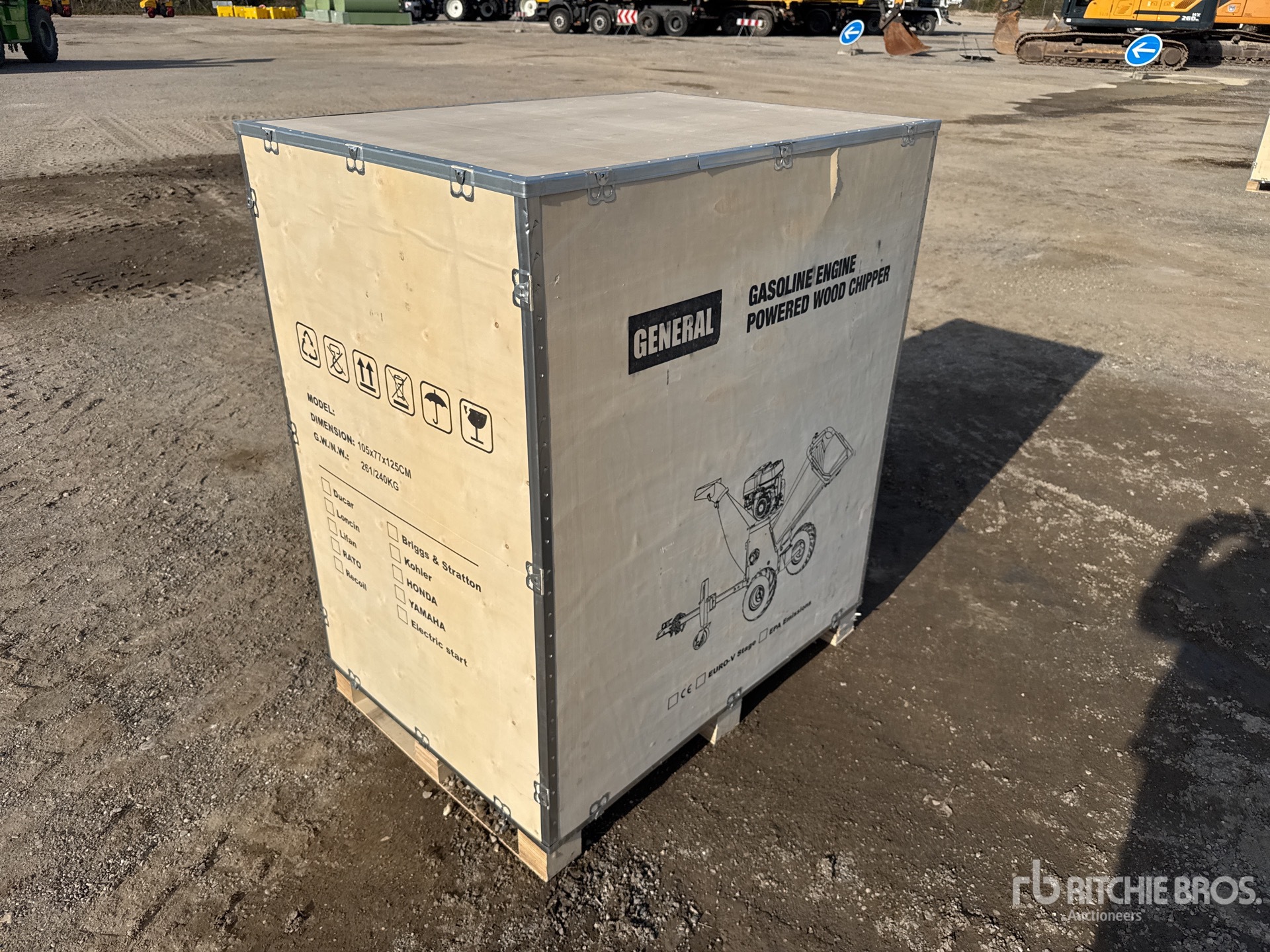 General Appearance with 