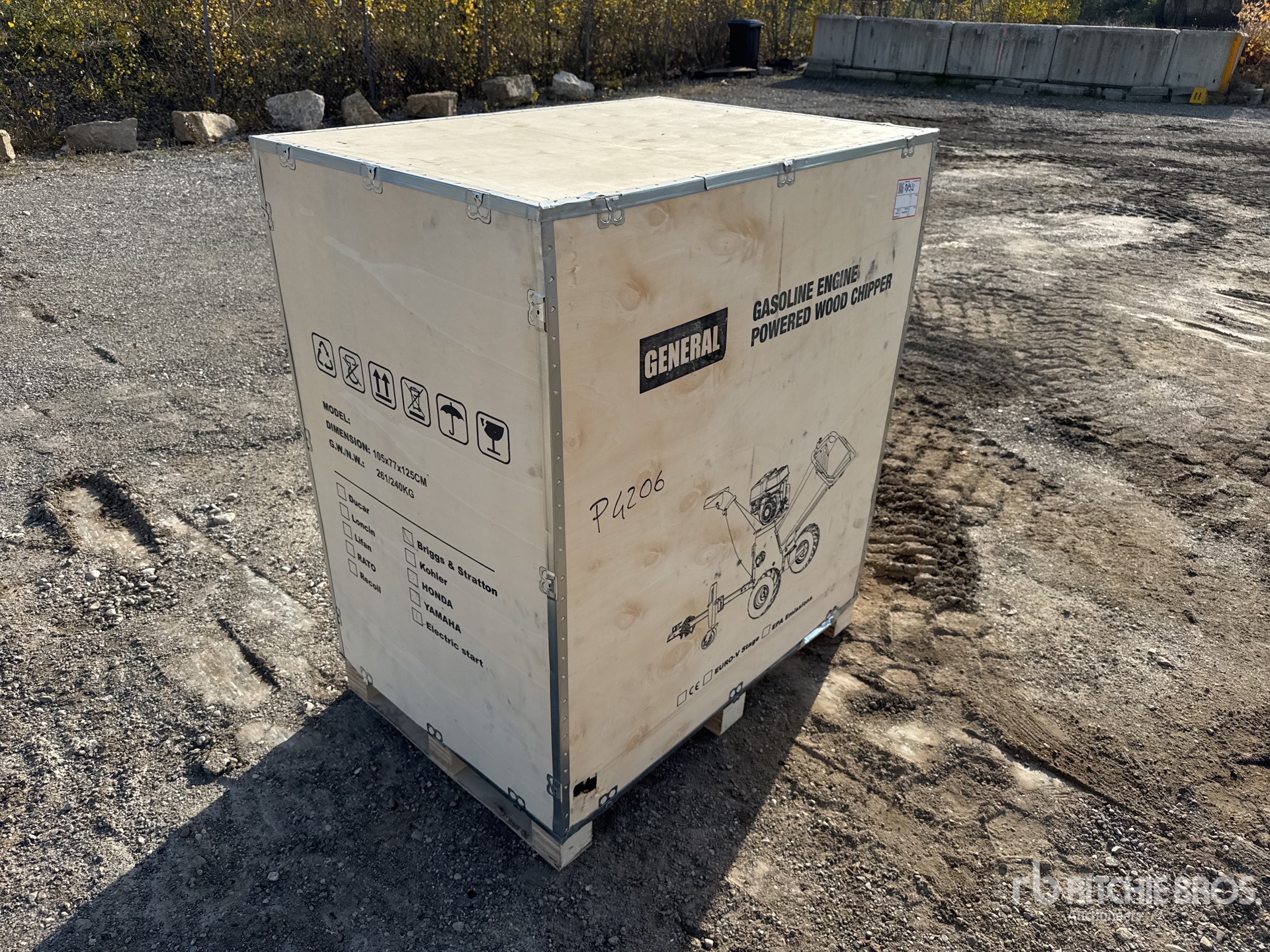 General Appearance with 