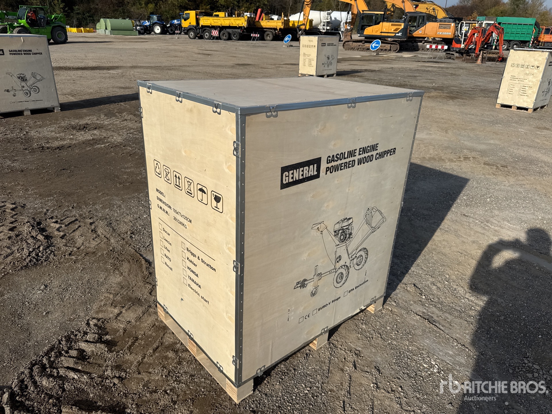 General Appearance with 