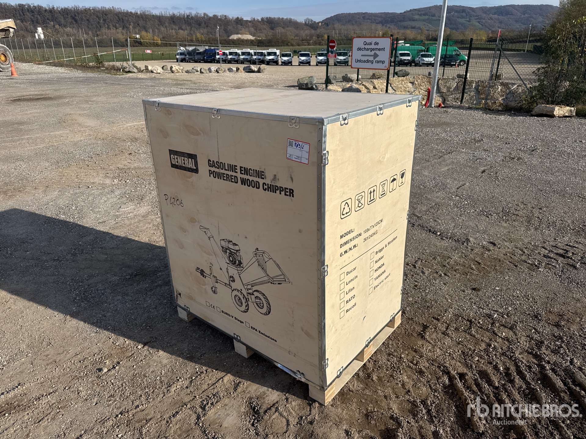 General Appearance with 