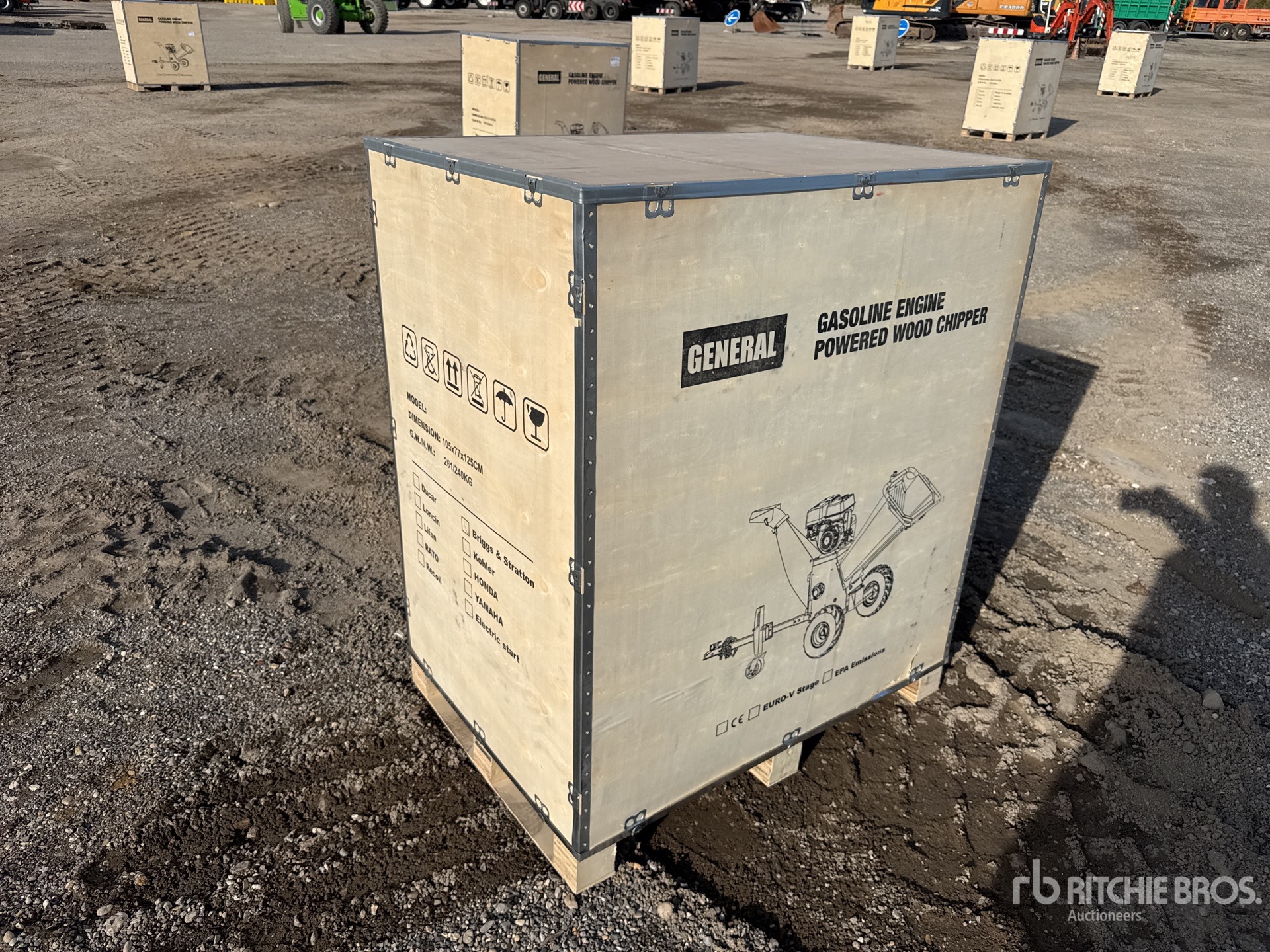 General Appearance with 