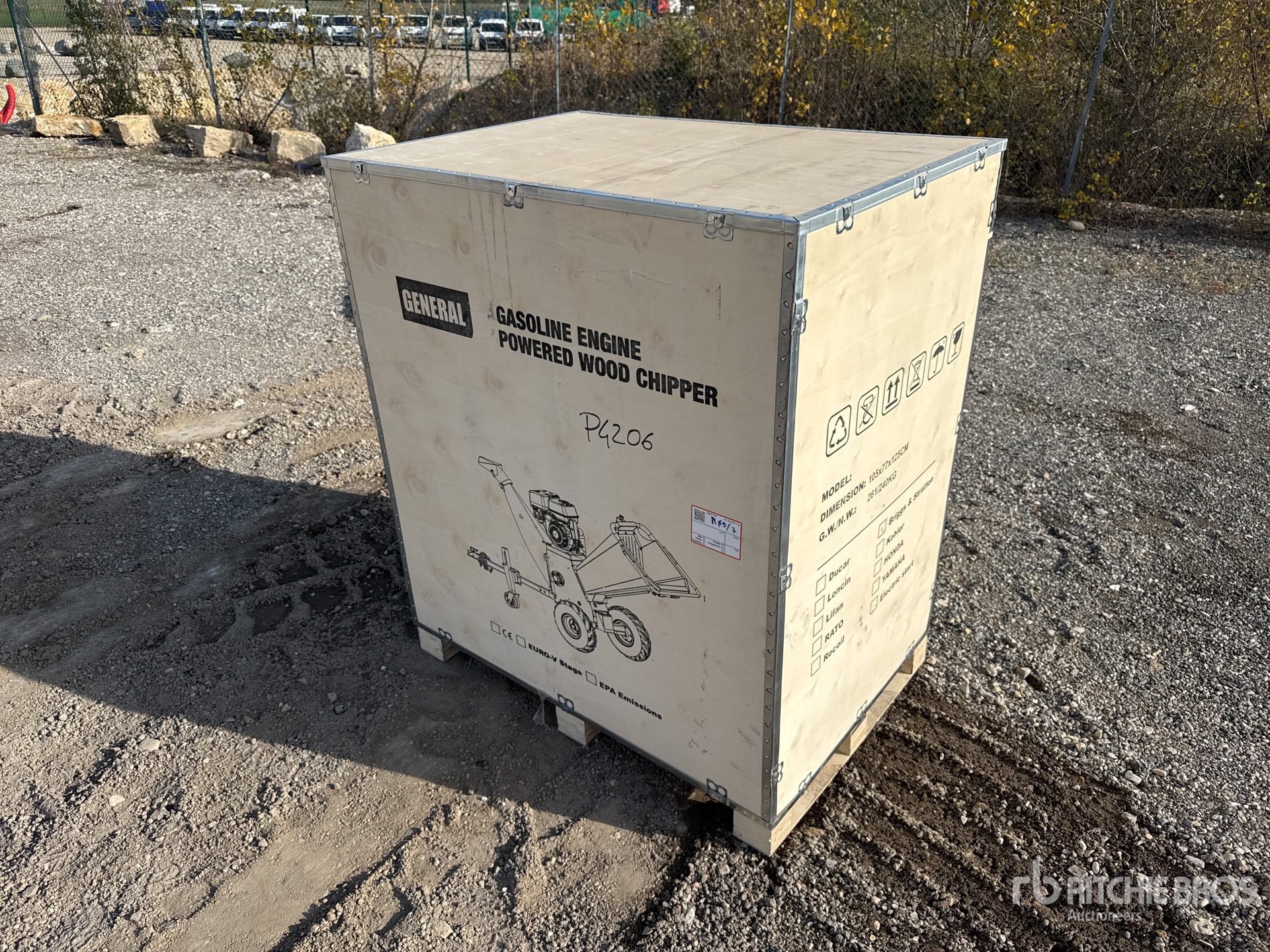 General Appearance with 