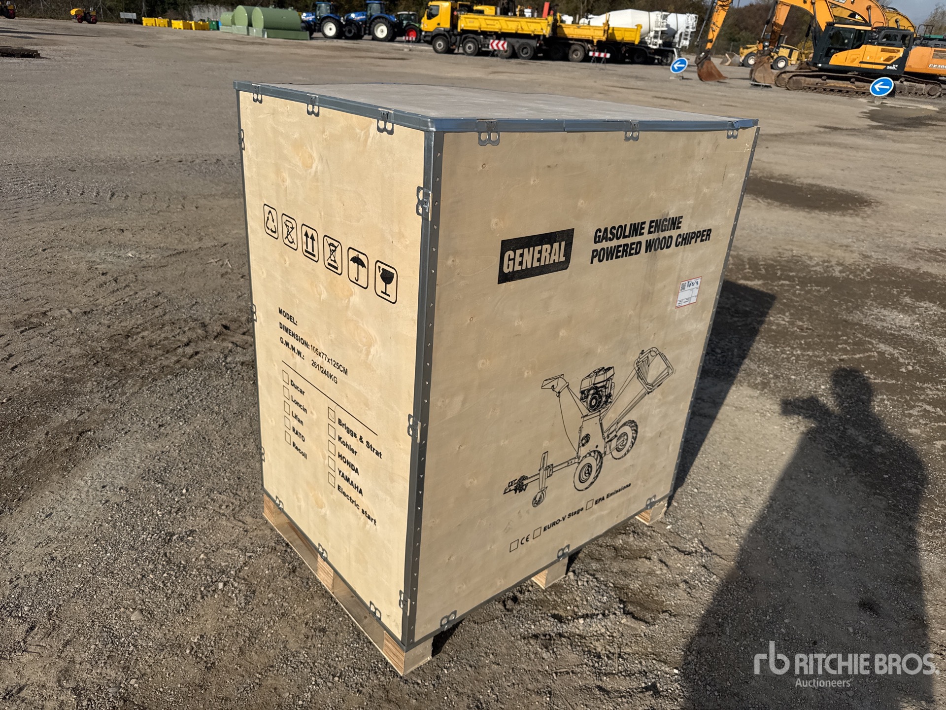 General Appearance with 