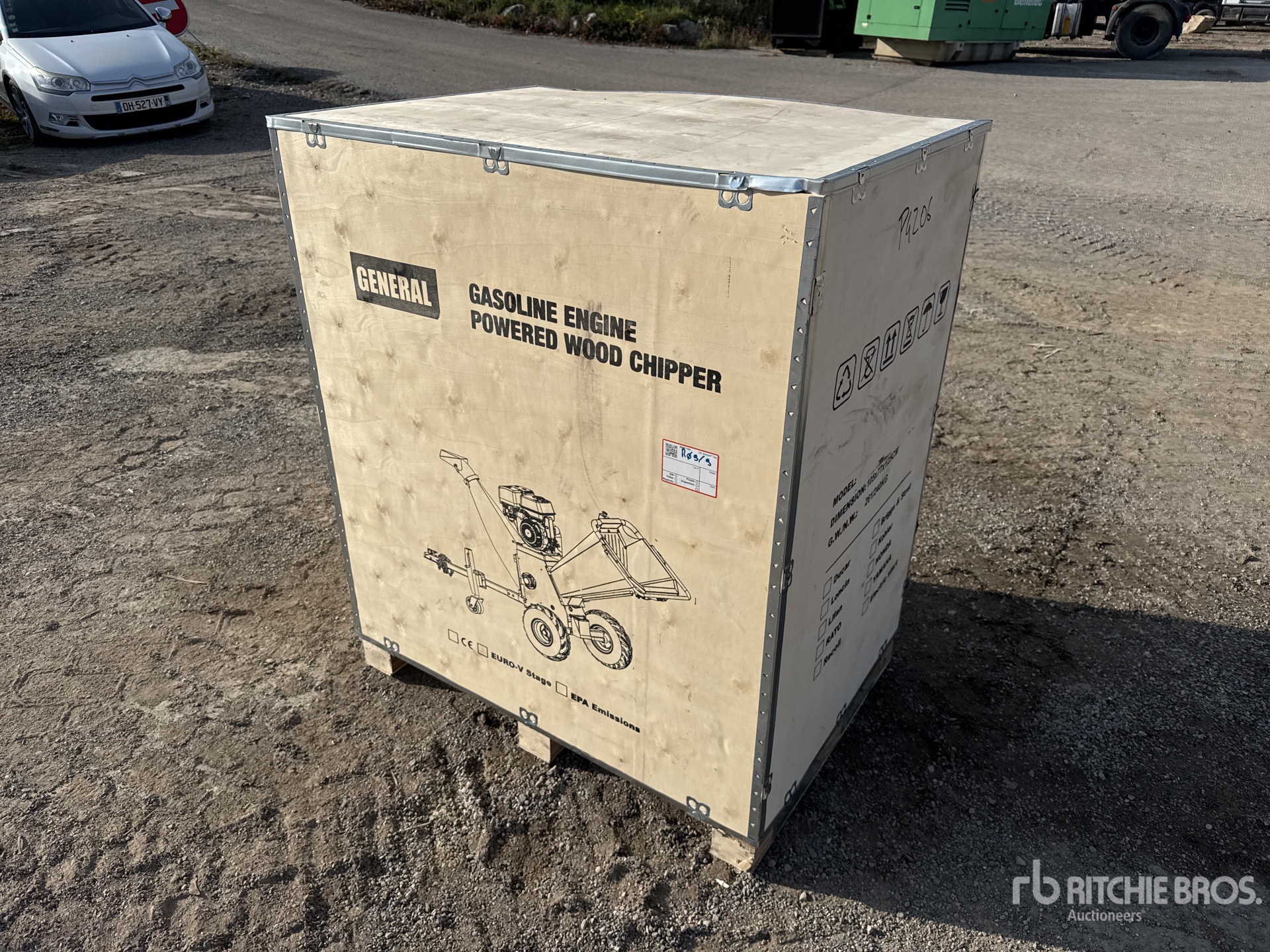 General Appearance with 