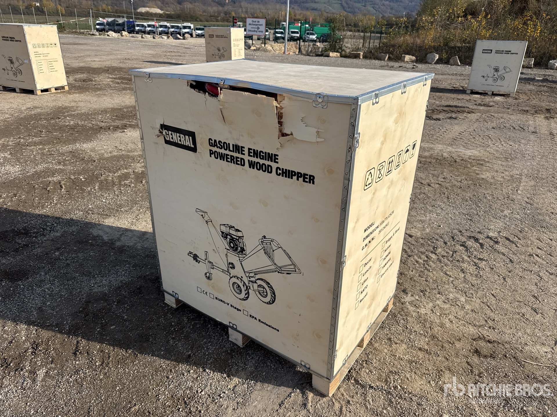 General Appearance with 