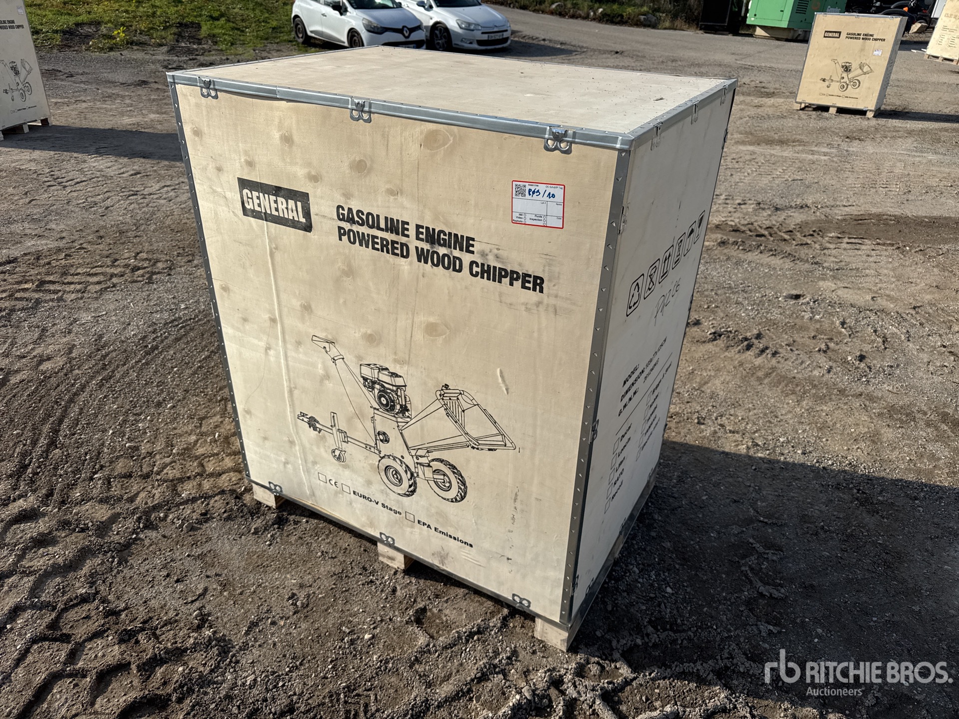 General Appearance with 